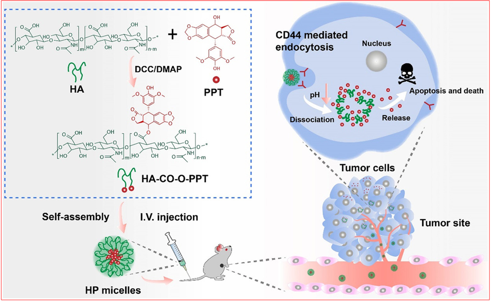 Bench-to-bedside translation of podophyllotoxin-based nanomedicines for cancer treatment: utopias and reality?