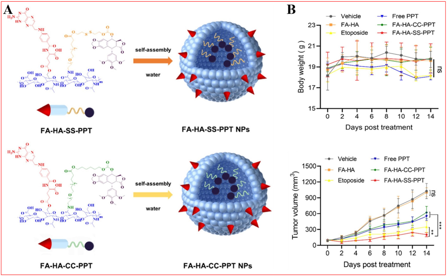 Bench-to-bedside translation of podophyllotoxin-based nanomedicines for cancer treatment: utopias and reality?