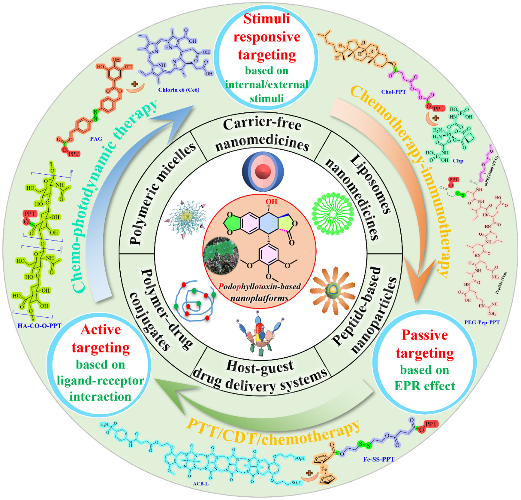 Bench-to-bedside translation of podophyllotoxin-based nanomedicines for cancer treatment: utopias and reality?