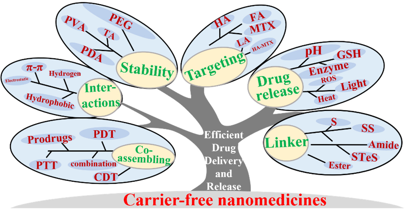 Bench-to-bedside translation of podophyllotoxin-based nanomedicines for cancer treatment: utopias and reality?