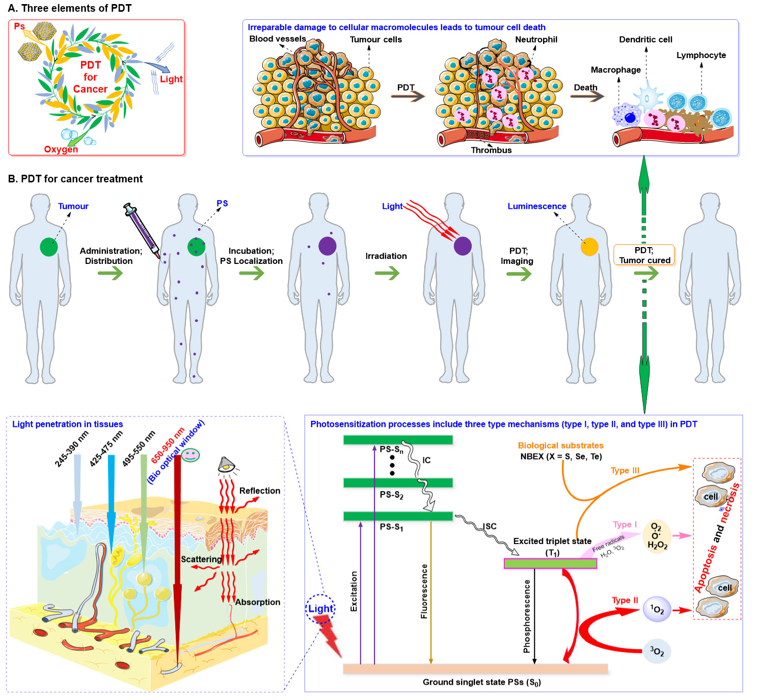 Bench-to-bedside translation of podophyllotoxin-based nanomedicines for cancer treatment: utopias and reality?