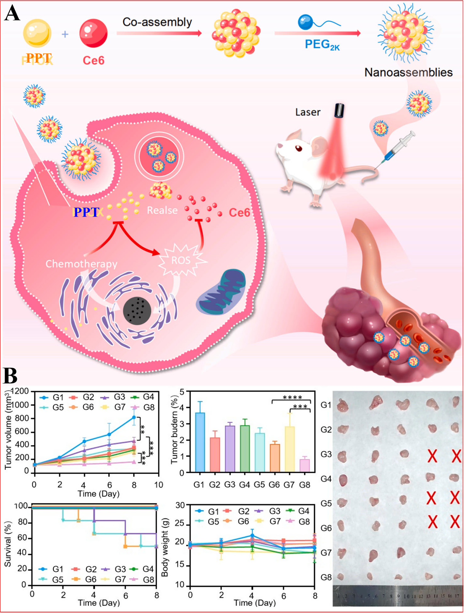 Bench-to-bedside translation of podophyllotoxin-based nanomedicines for cancer treatment: utopias and reality?
