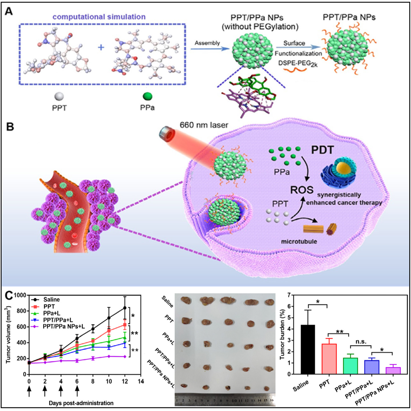 Bench-to-bedside translation of podophyllotoxin-based nanomedicines for cancer treatment: utopias and reality?