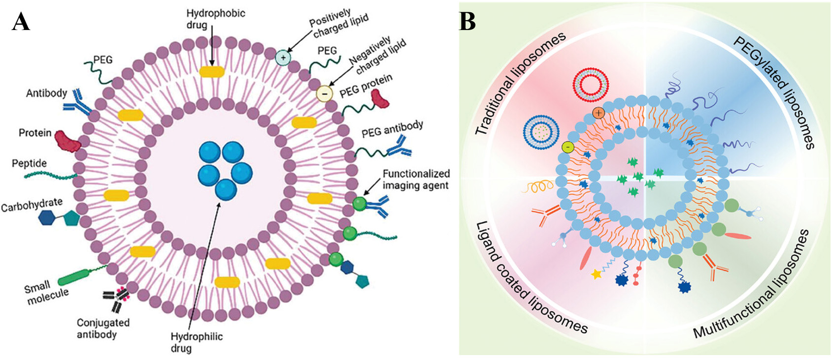 Bench-to-bedside translation of podophyllotoxin-based nanomedicines for cancer treatment: utopias and reality?