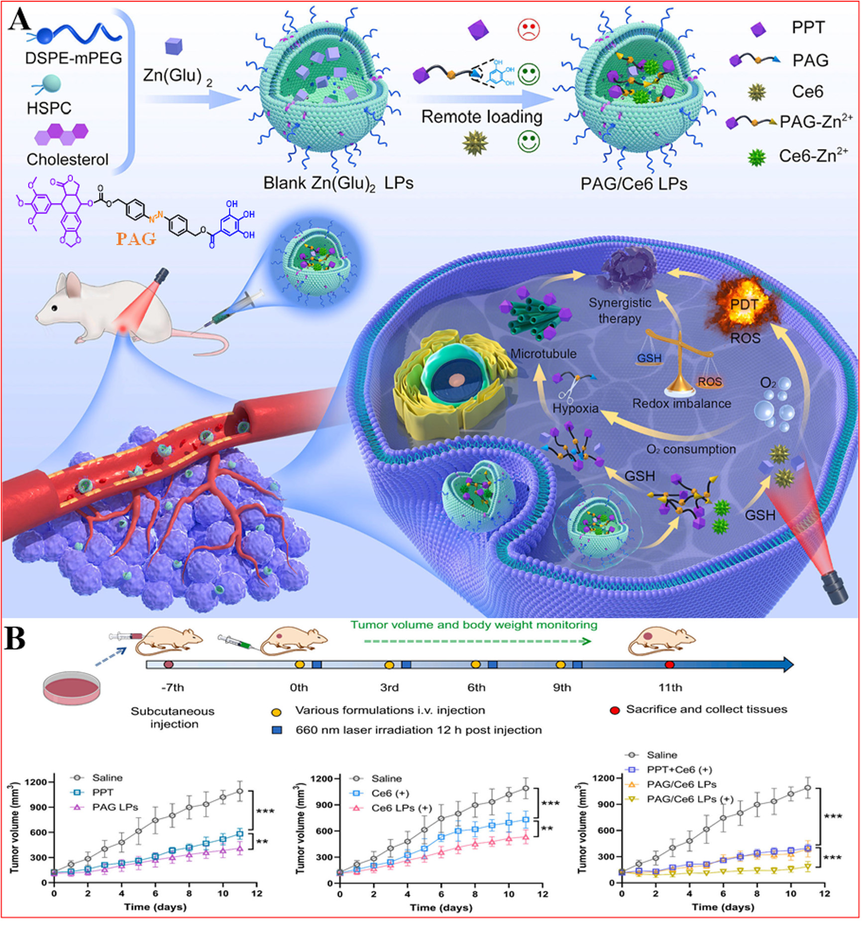 Bench-to-bedside translation of podophyllotoxin-based nanomedicines for cancer treatment: utopias and reality?