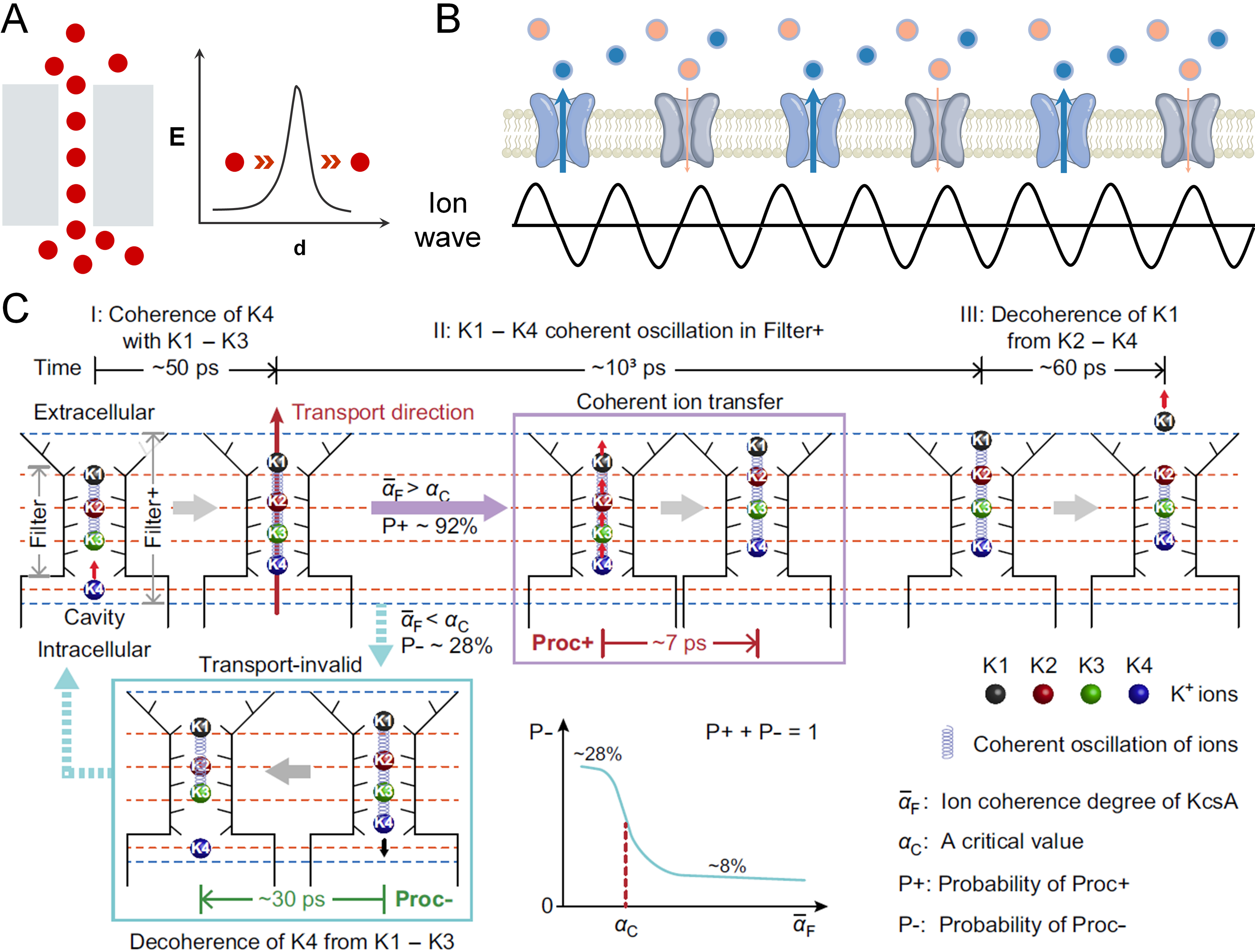 Ionic superfluidics: a perspective on emerging frameworks for ion transport in confined channels