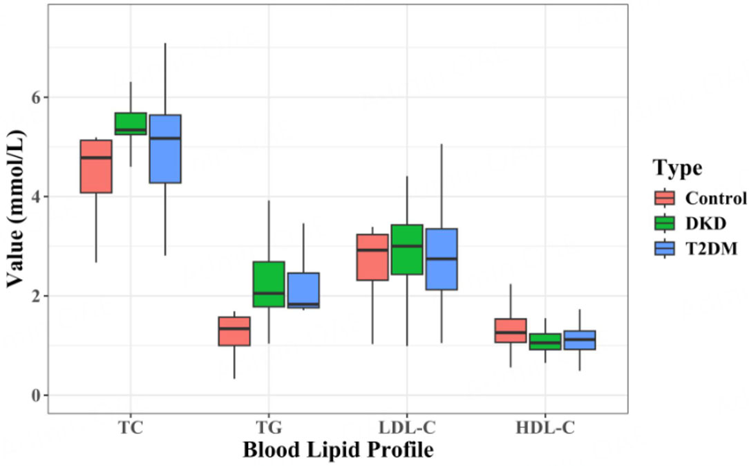 Genetic factors associated with dyslipidemia, T2DM and DKD: a cross-sectional study on FXR gene polymorphisms