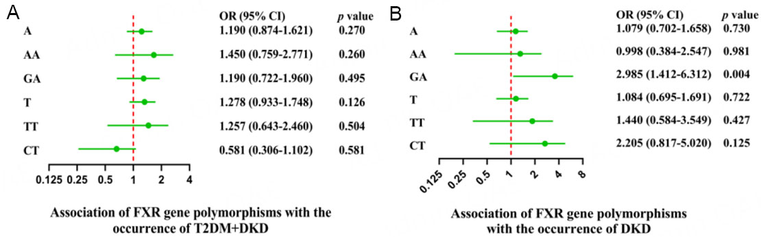 Genetic factors associated with dyslipidemia, T2DM and DKD: a cross-sectional study on FXR gene polymorphisms