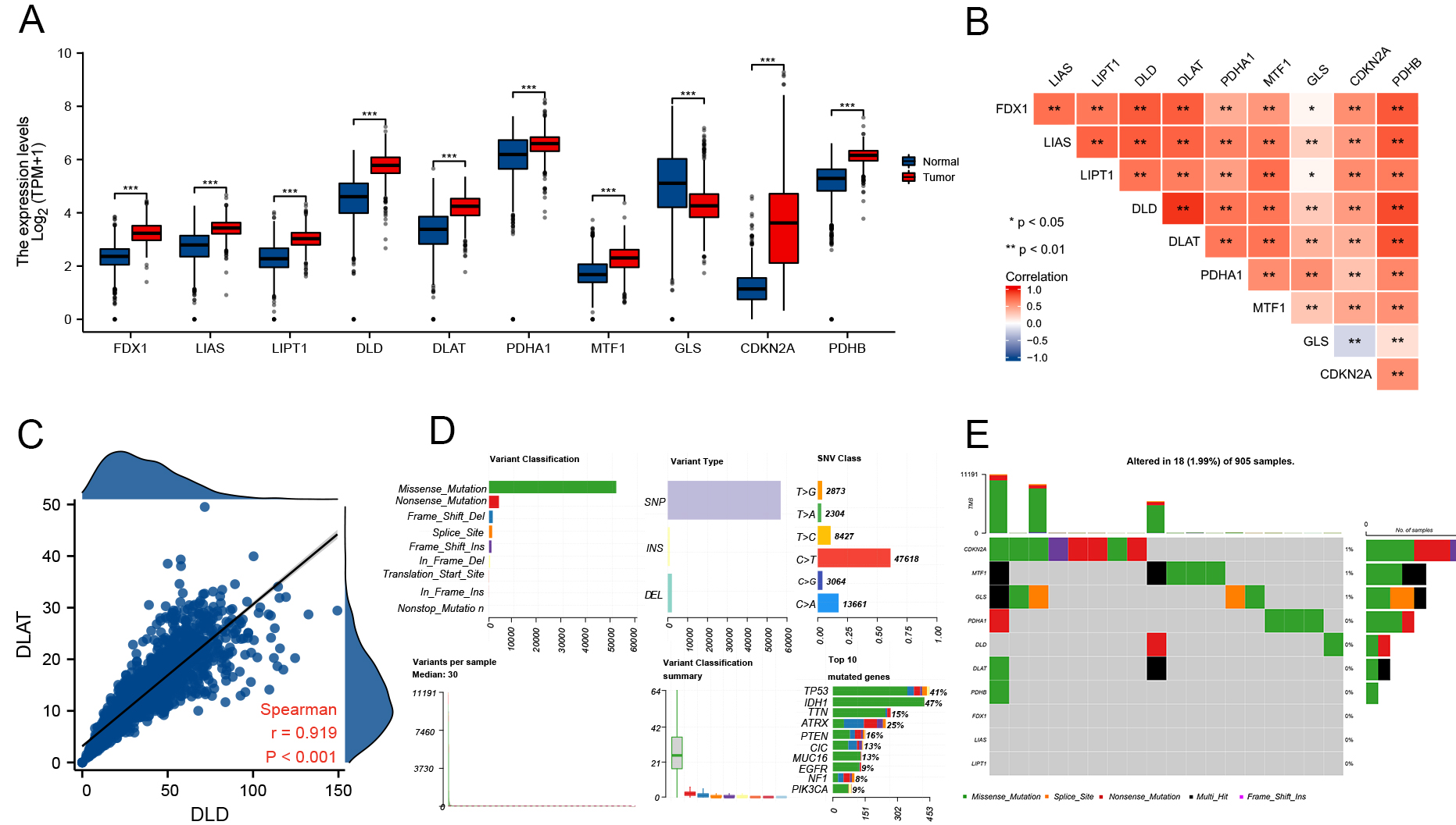 Cuproptosis-related gene-based characterization and diagnostic biomarker screening in gliomas