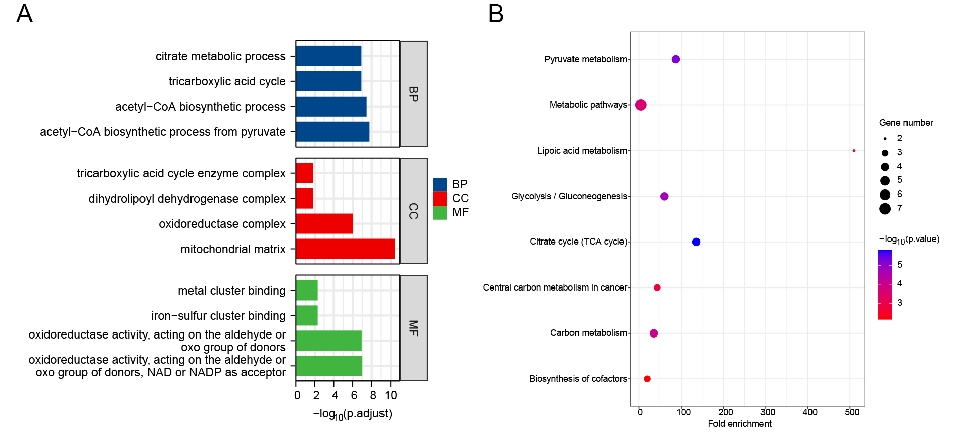 Cuproptosis-related gene-based characterization and diagnostic biomarker screening in gliomas
