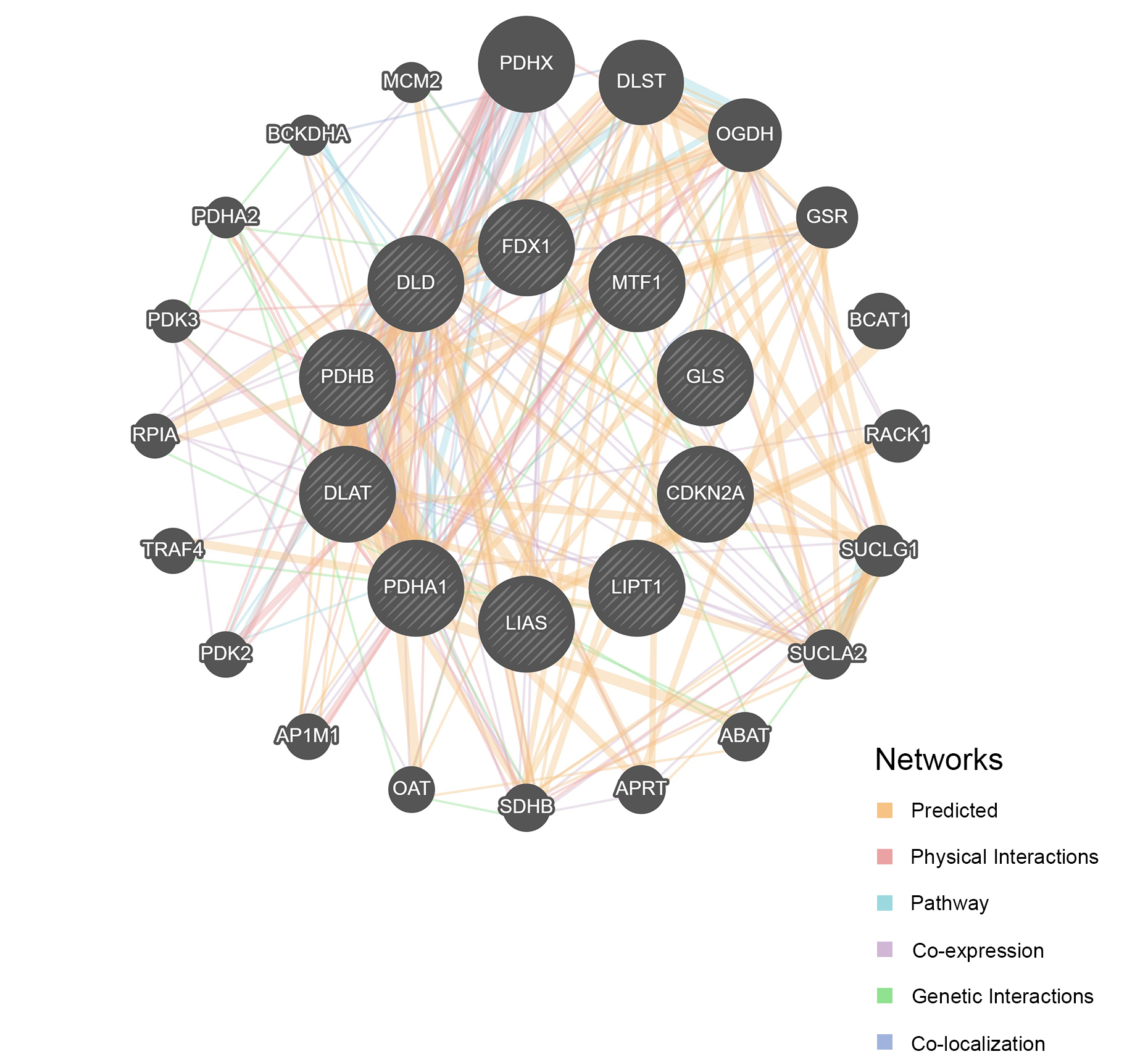 Cuproptosis-related gene-based characterization and diagnostic biomarker screening in gliomas