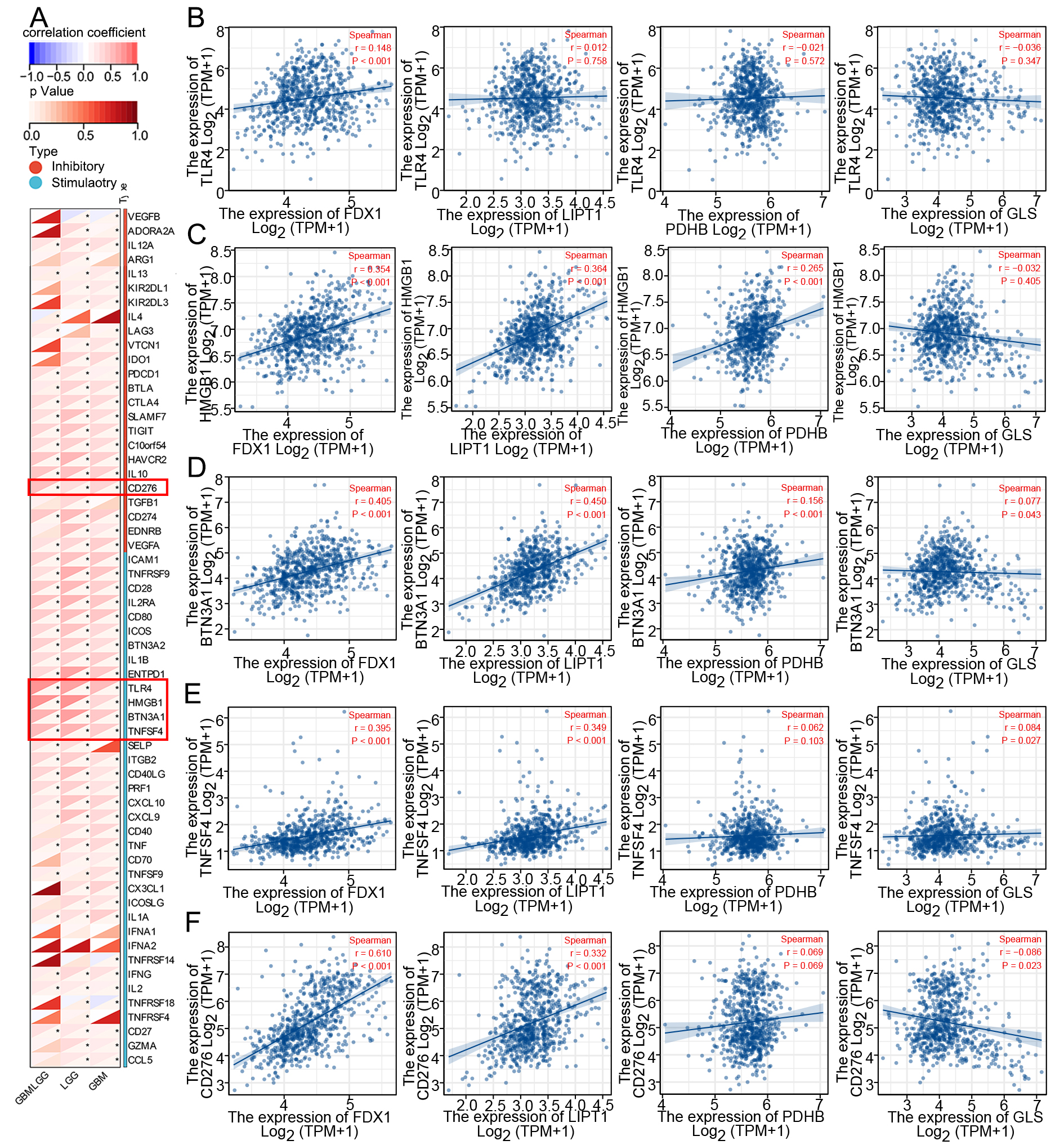 Cuproptosis-related gene-based characterization and diagnostic biomarker screening in gliomas