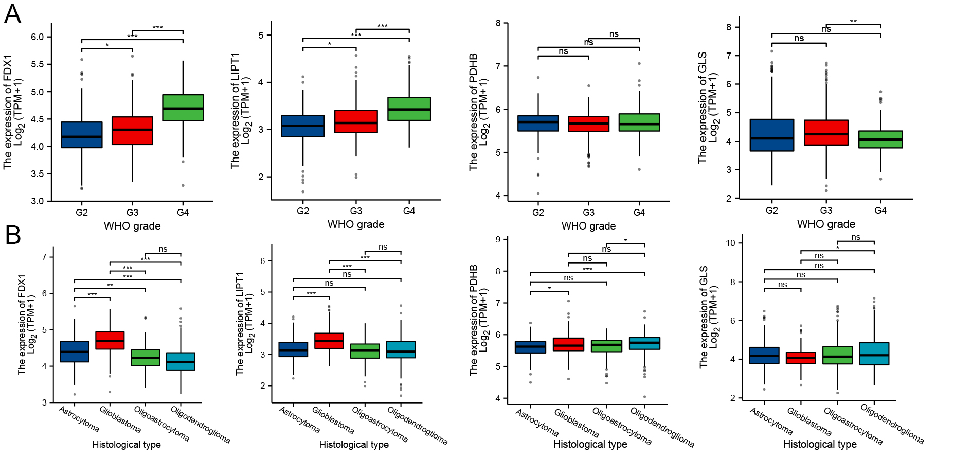 Cuproptosis-related gene-based characterization and diagnostic biomarker screening in gliomas