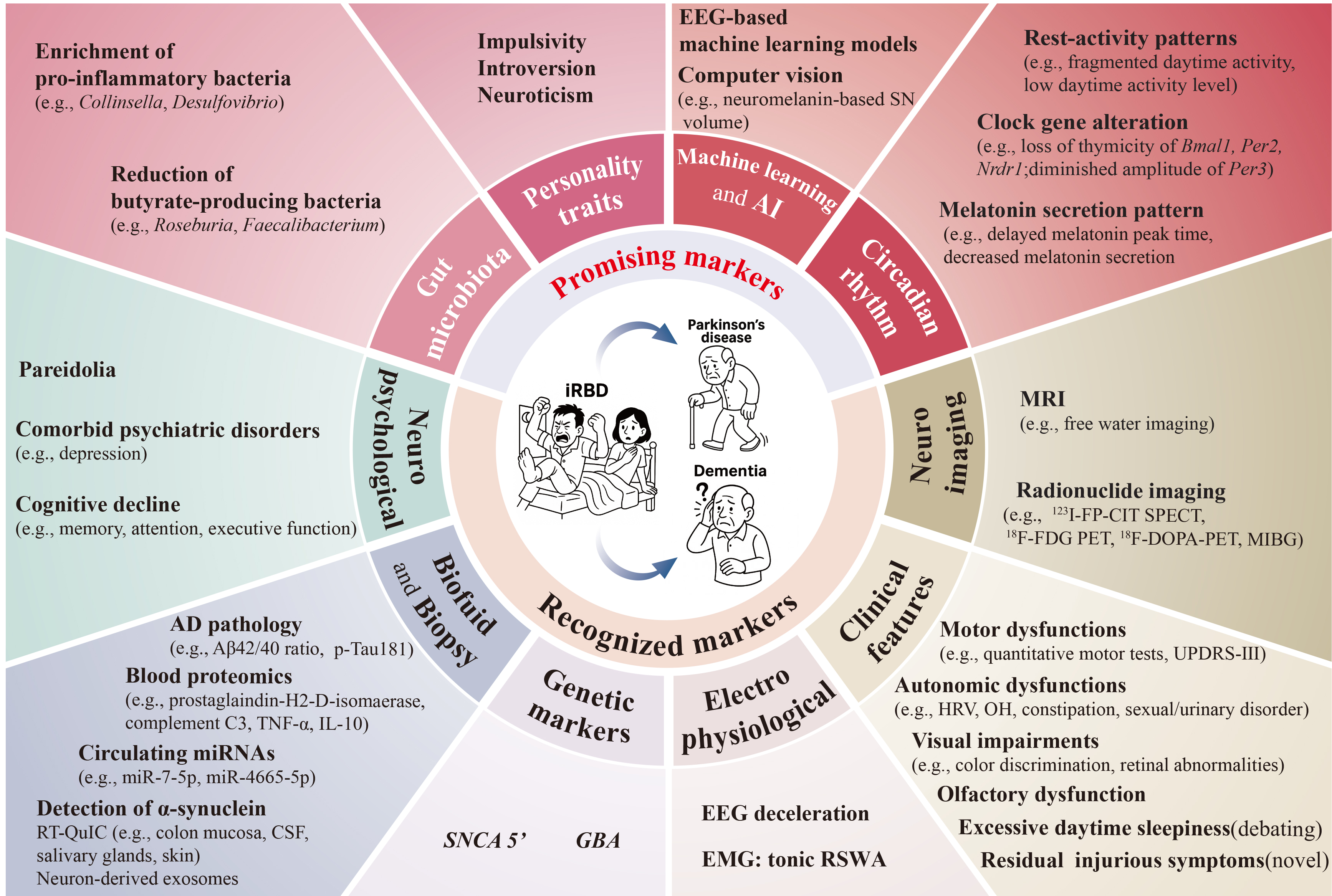 Update on neurodegenerative markers in isolated rapid eye movement sleep behavior disorder