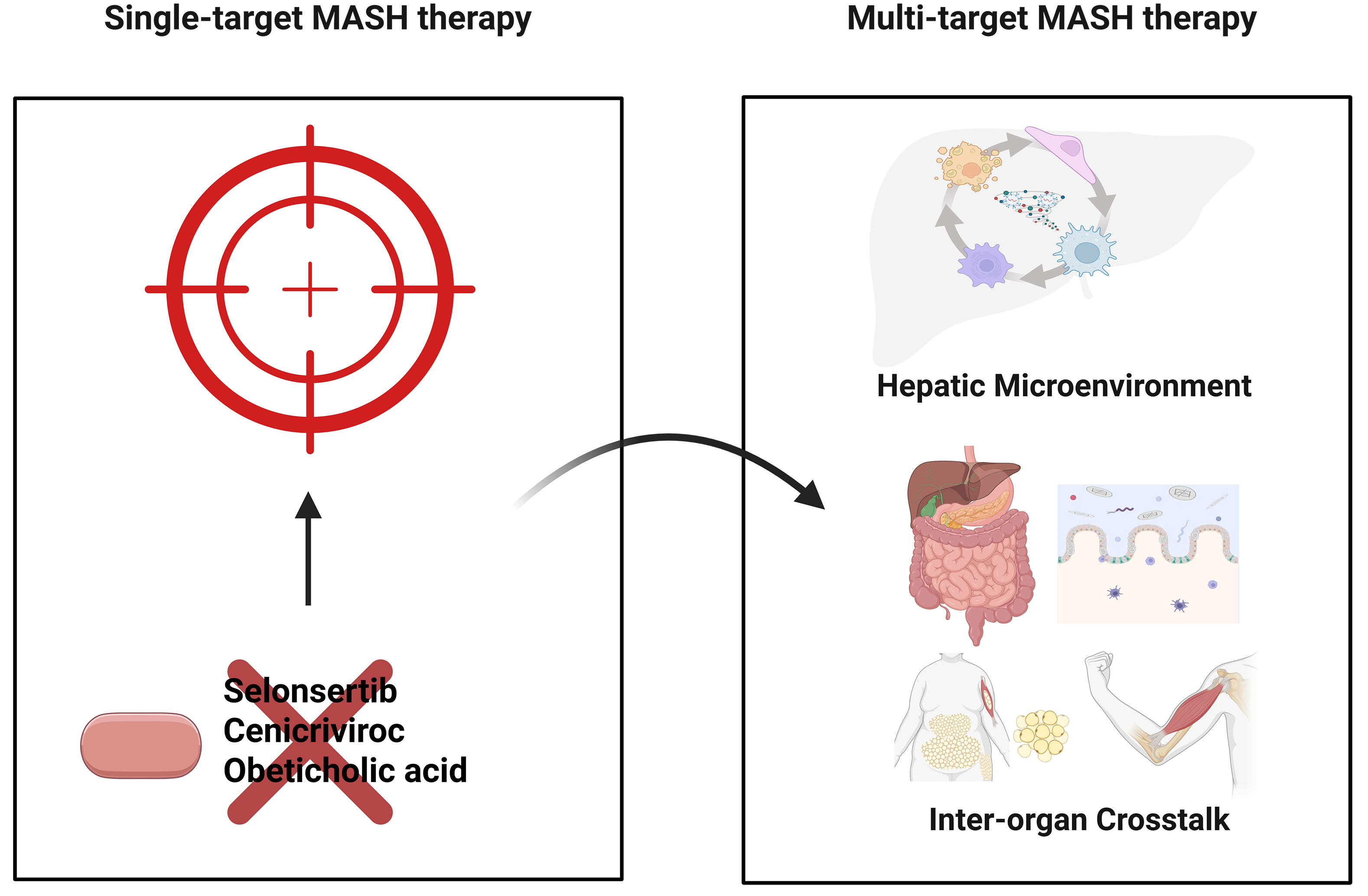 Beyond the liver: targeting the hepatic microenvironment and multi-organ networks for innovative MASH therapy