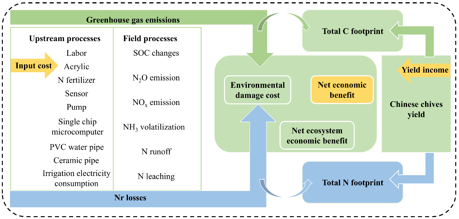 Toward climate-smart irrigation: evaluating the sustainability of negative pressure systems through carbon-nitrogen footprint and cost-benefit analysis