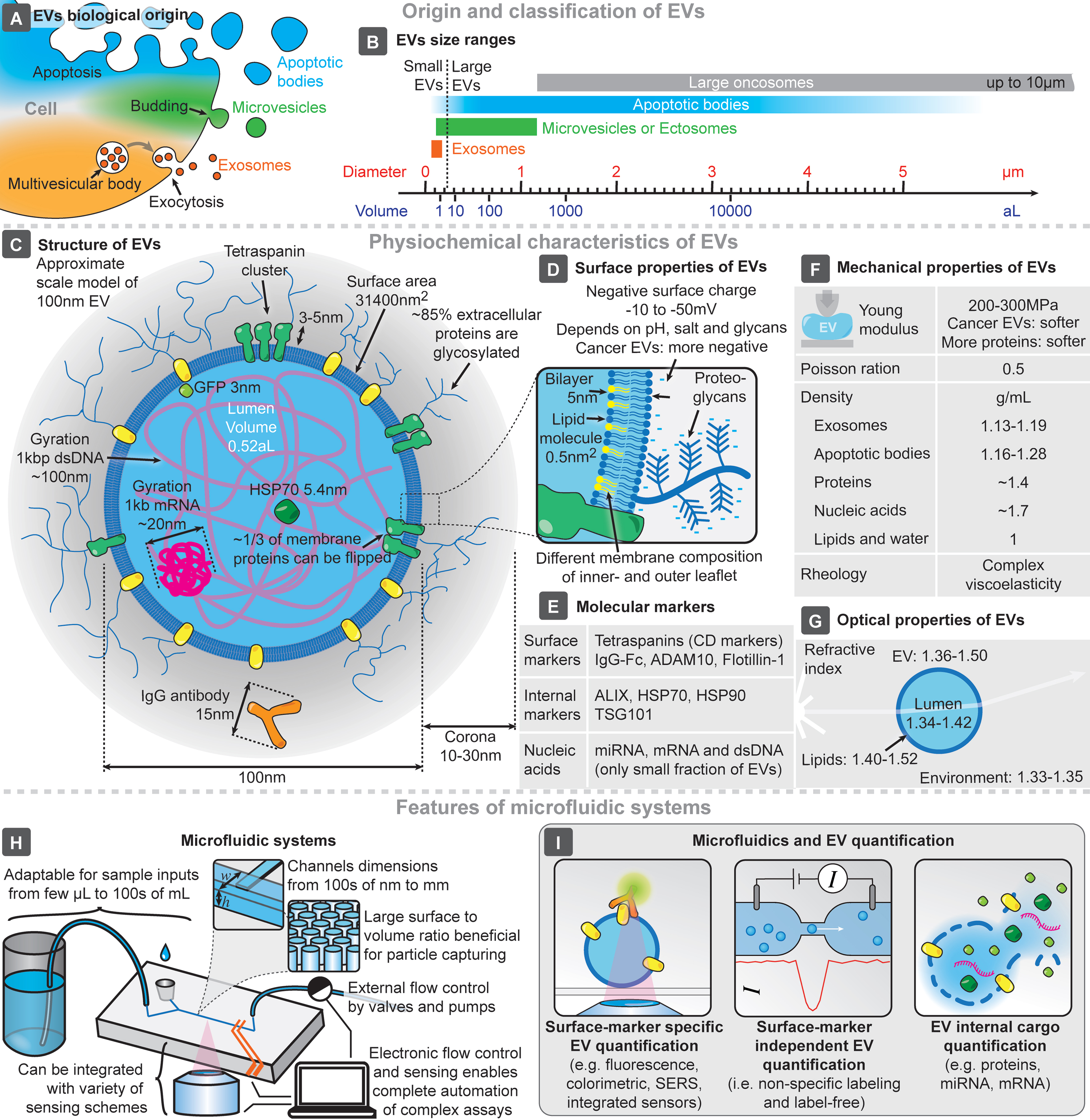 Microfluidic devices for on-chip quantification of extracellular vesicles and associated biomarkers