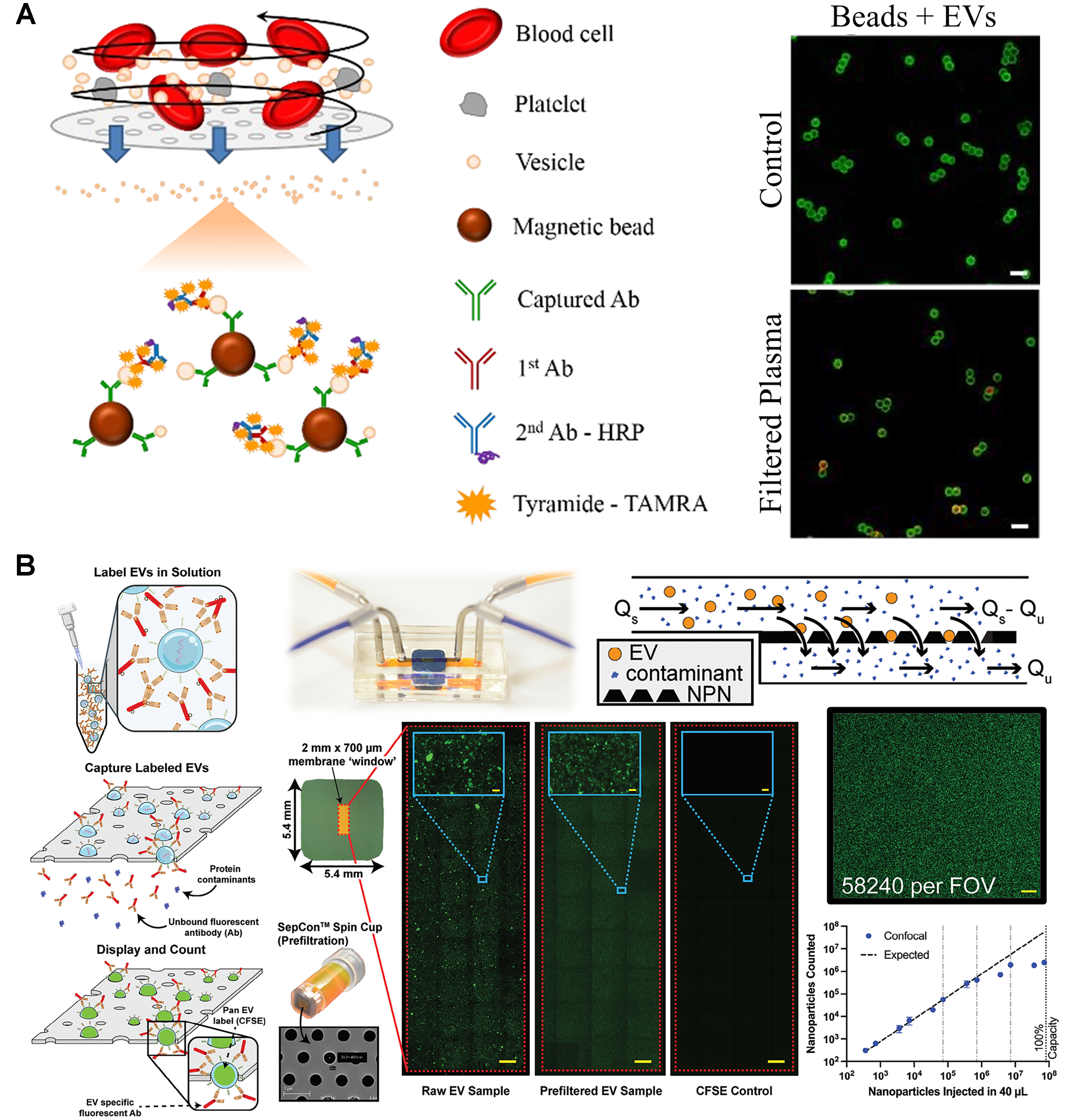Microfluidic devices for on-chip quantification of extracellular vesicles and associated biomarkers