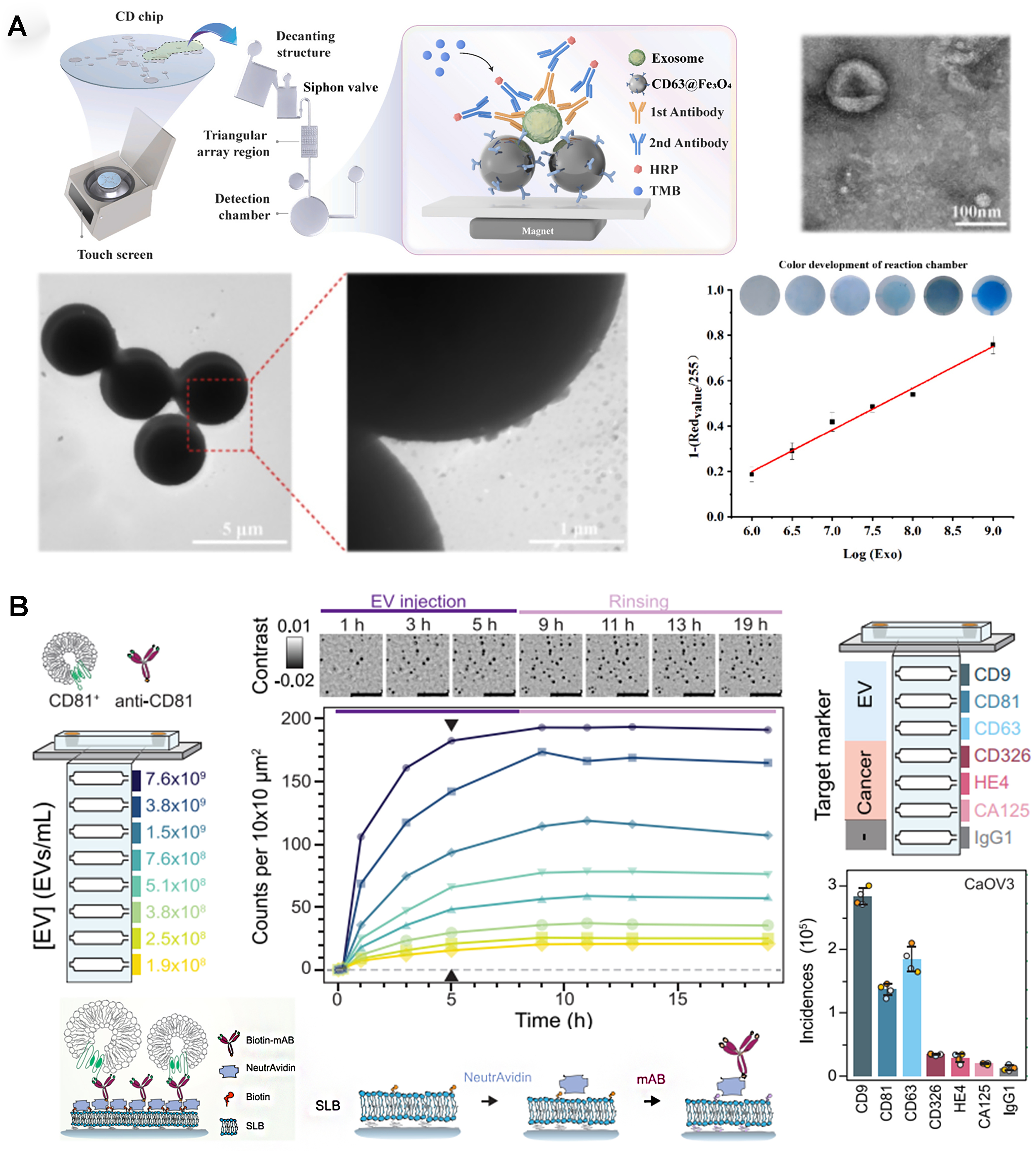 Microfluidic devices for on-chip quantification of extracellular vesicles and associated biomarkers