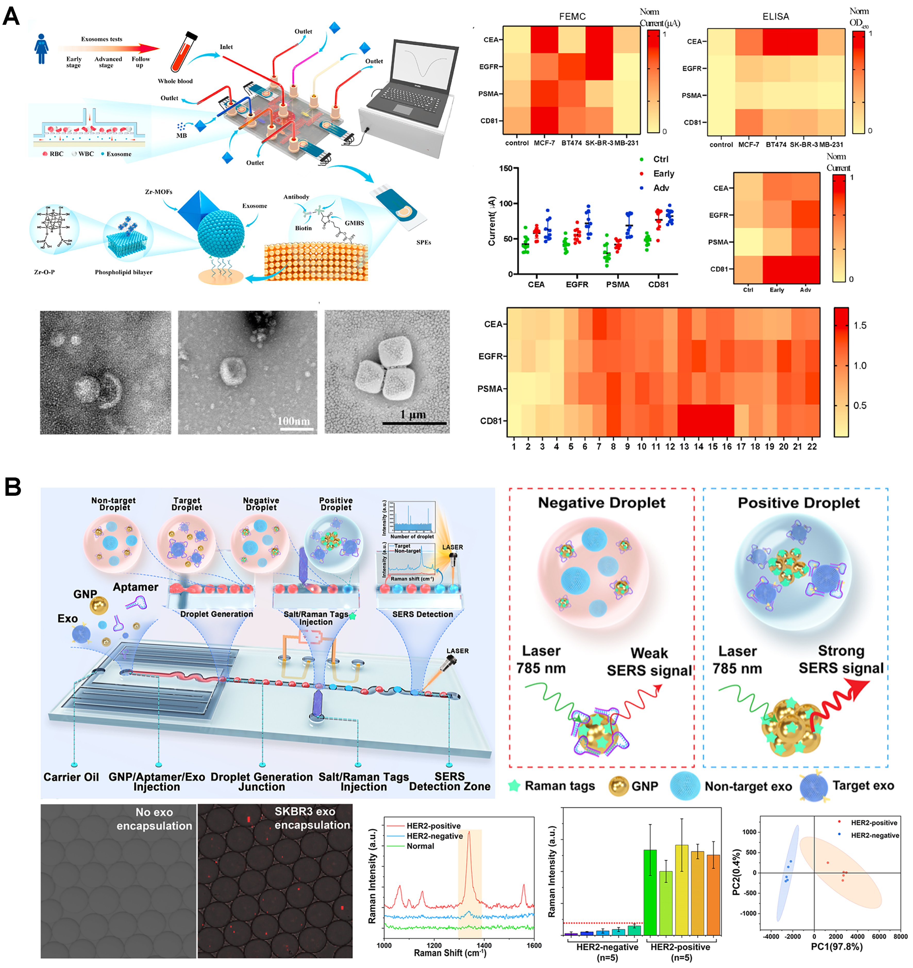 Microfluidic devices for on-chip quantification of extracellular vesicles and associated biomarkers