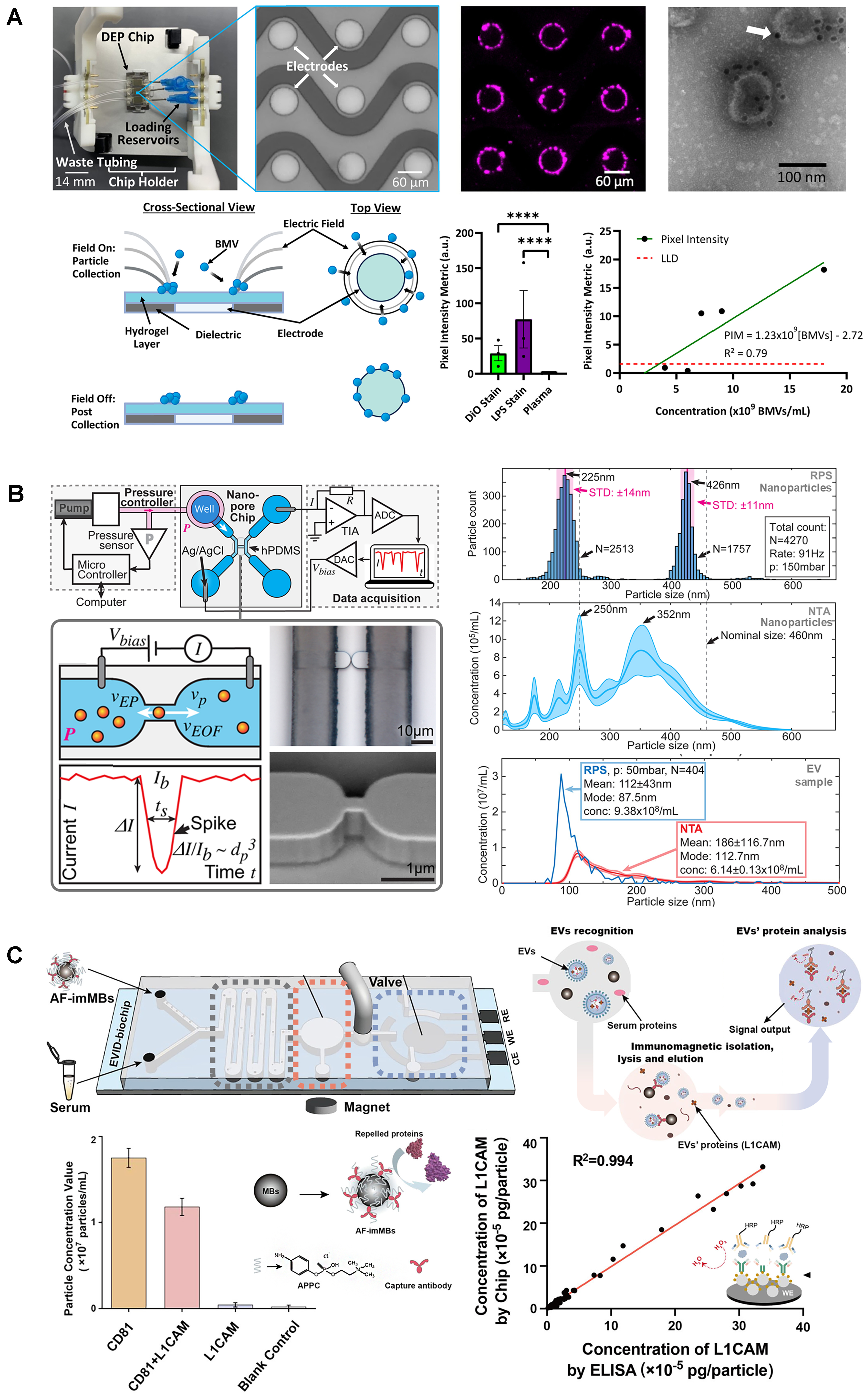 Microfluidic devices for on-chip quantification of extracellular vesicles and associated biomarkers