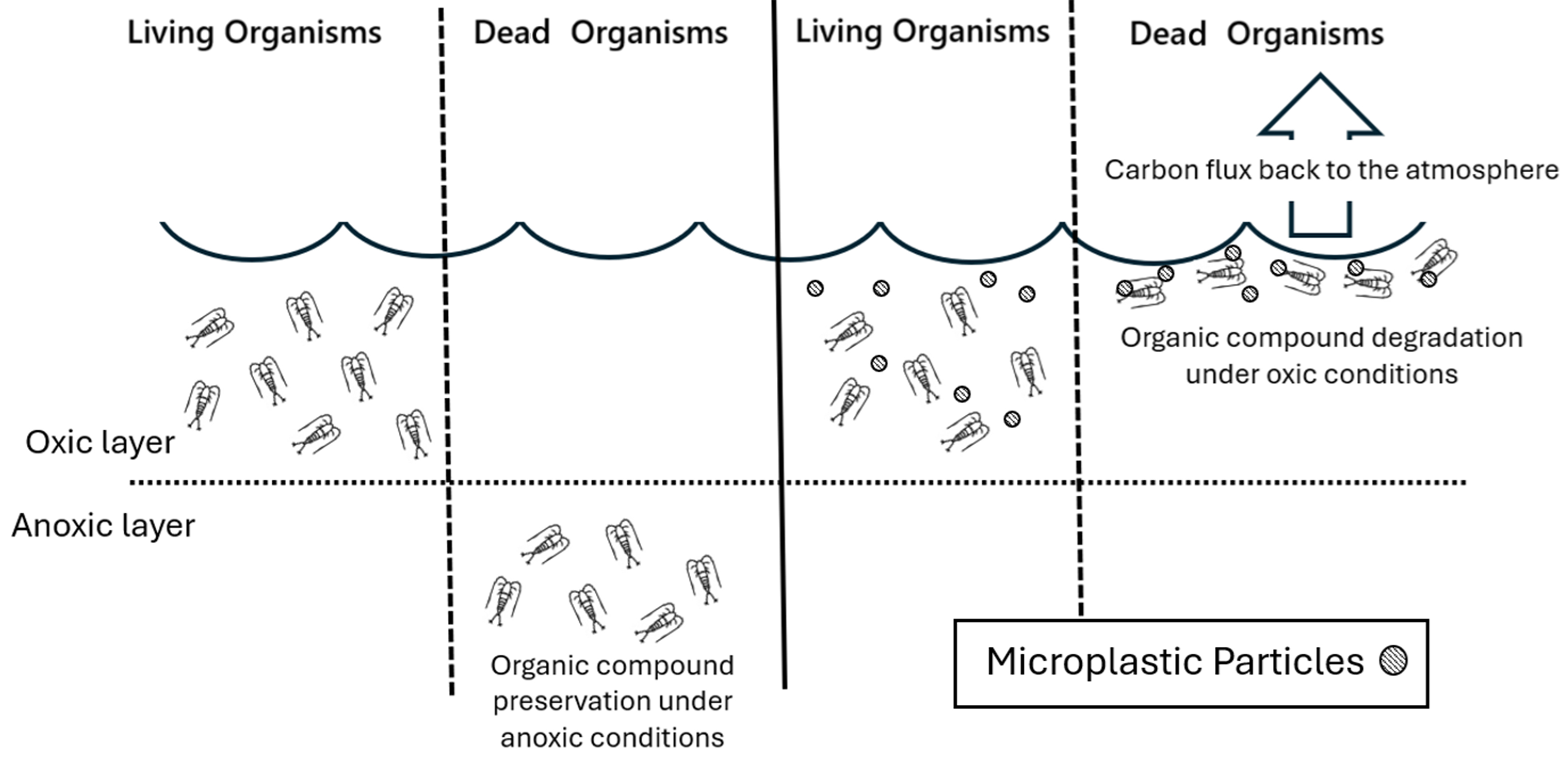 Climate change and microplastics: a two-way interaction