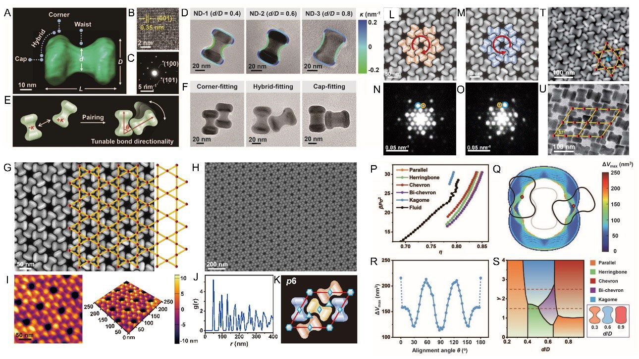 Curvature-guided assembly of nonconvex nanocrystals into chiral Kagome superlattices