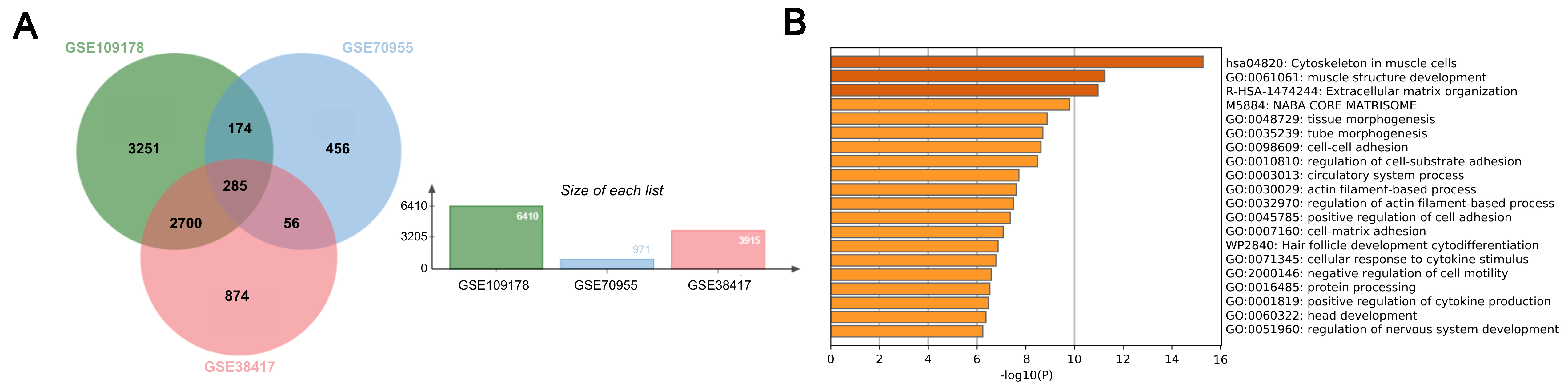 Translational insights into Duchenne muscular dystrophy: network biomarker identification and drug repositioning through multi-omics approaches