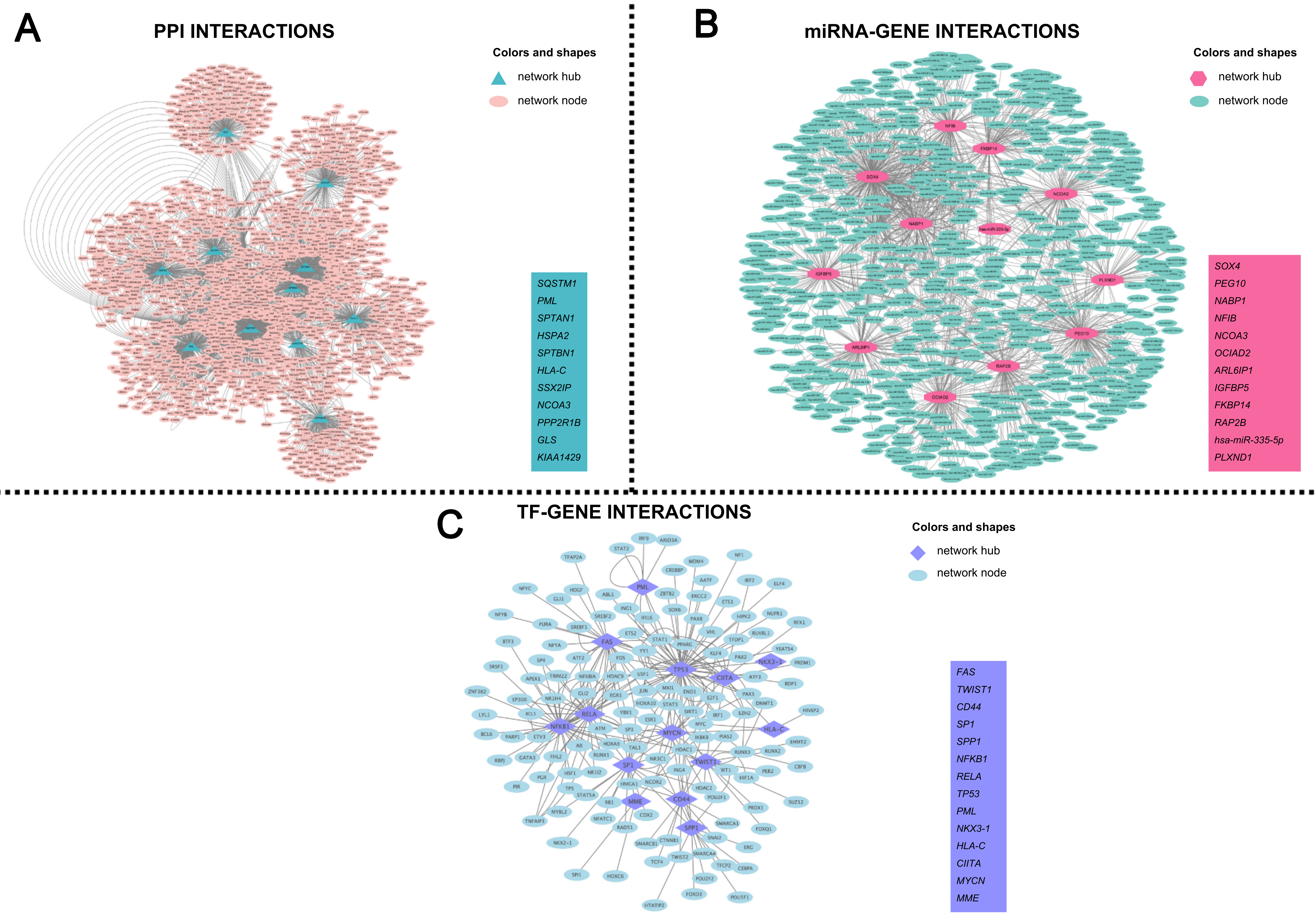 Translational insights into Duchenne muscular dystrophy: network biomarker identification and drug repositioning through multi-omics approaches