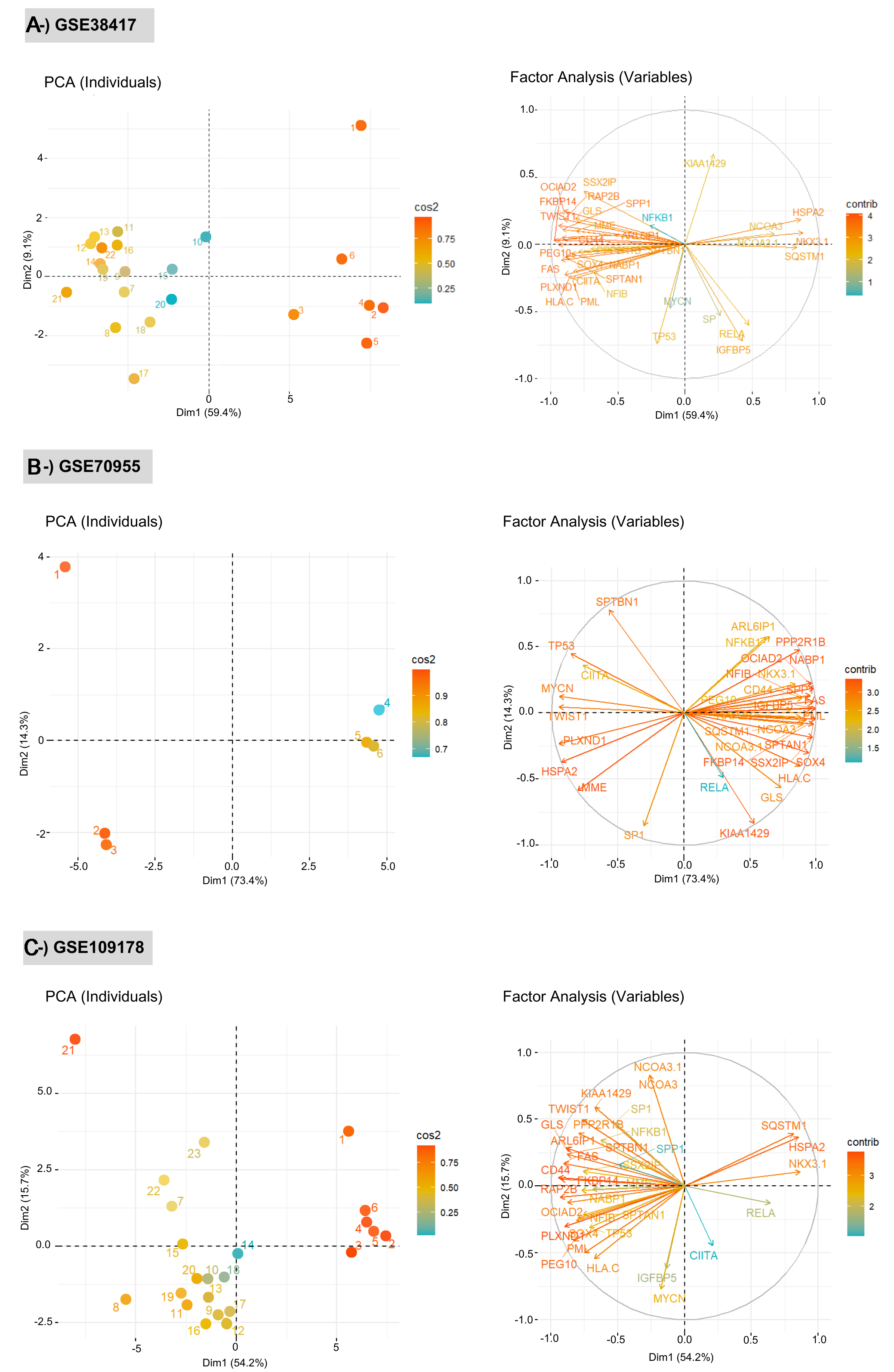 Translational insights into Duchenne muscular dystrophy: network biomarker identification and drug repositioning through multi-omics approaches