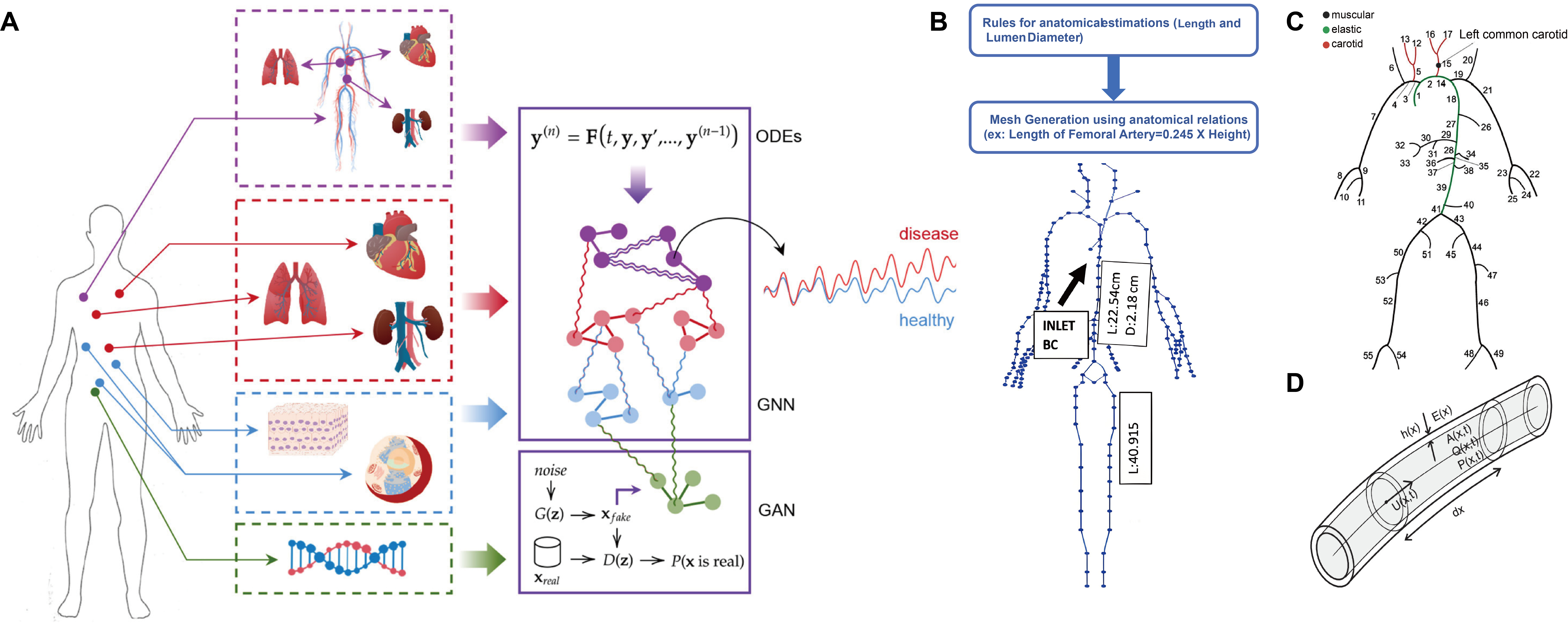 Digital vessel for the diagnosis of cardiovascular diseases
