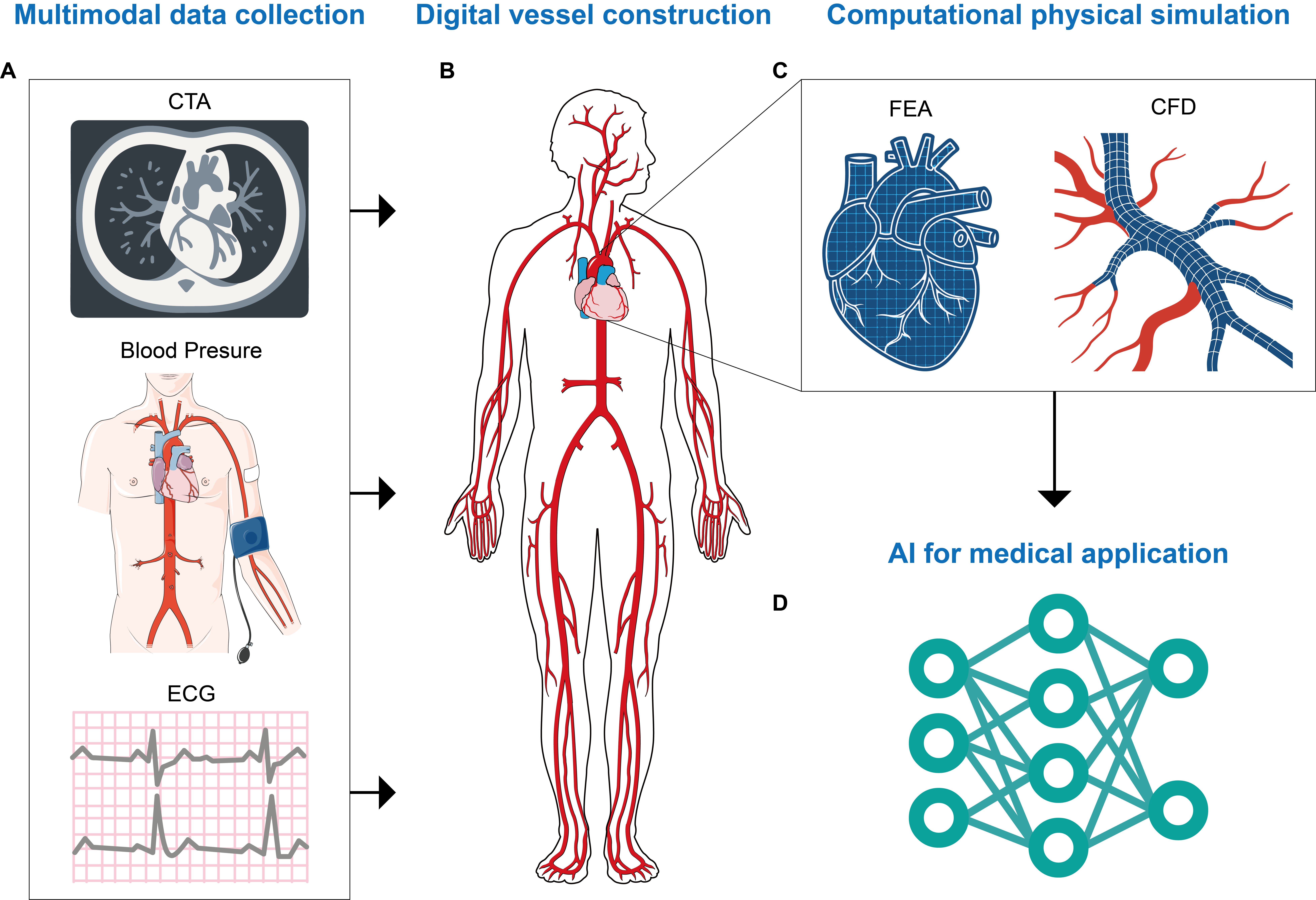 Digital vessel for the diagnosis of cardiovascular diseases