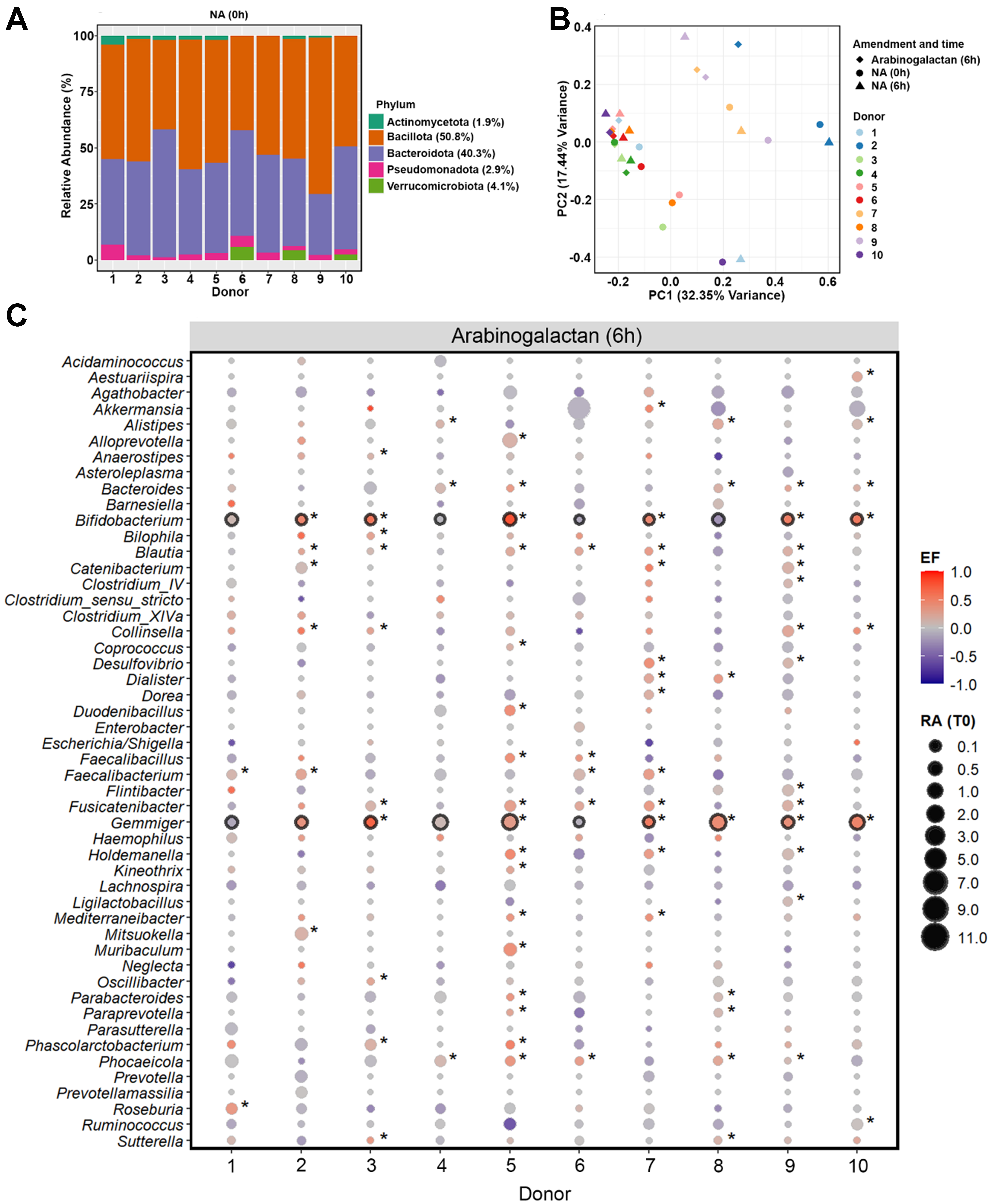 Evaluating the prebiotic activity of arabinogalactan on the human gut microbiota using 16S rRNA gene sequencing and Raman-activated cell sorting