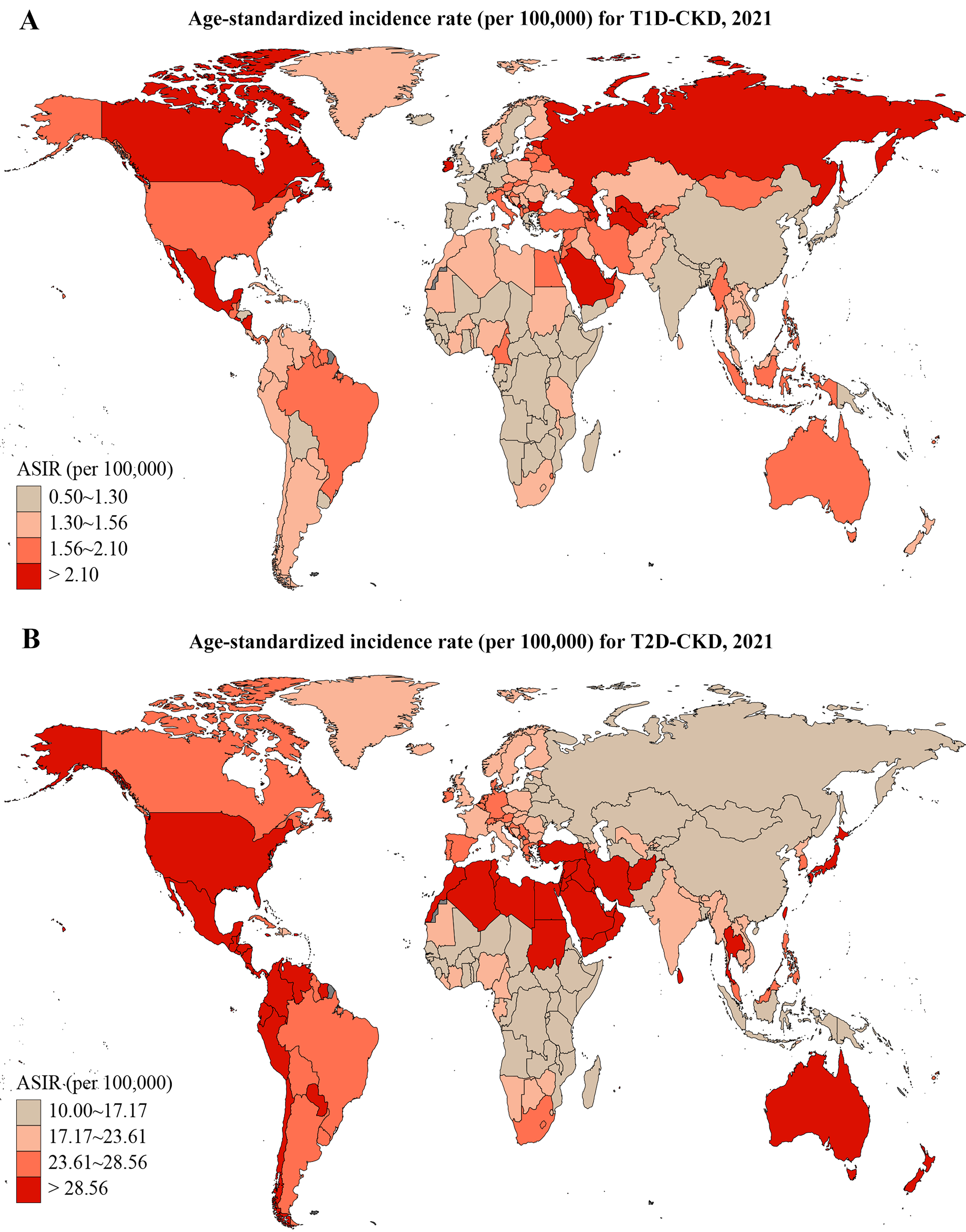 The global burden of diabetes-related chronic kidney disease from 1990 to 2021, with projections to 2036