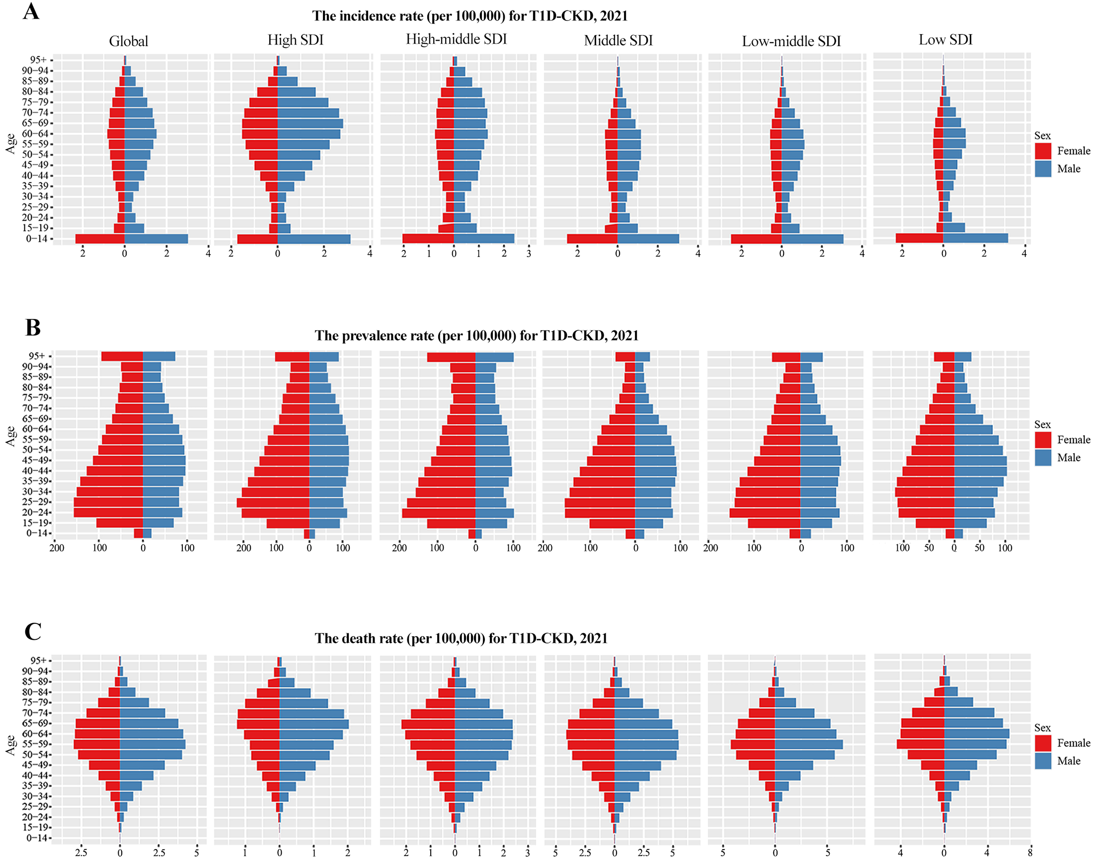 The global burden of diabetes-related chronic kidney disease from 1990 to 2021, with projections to 2036