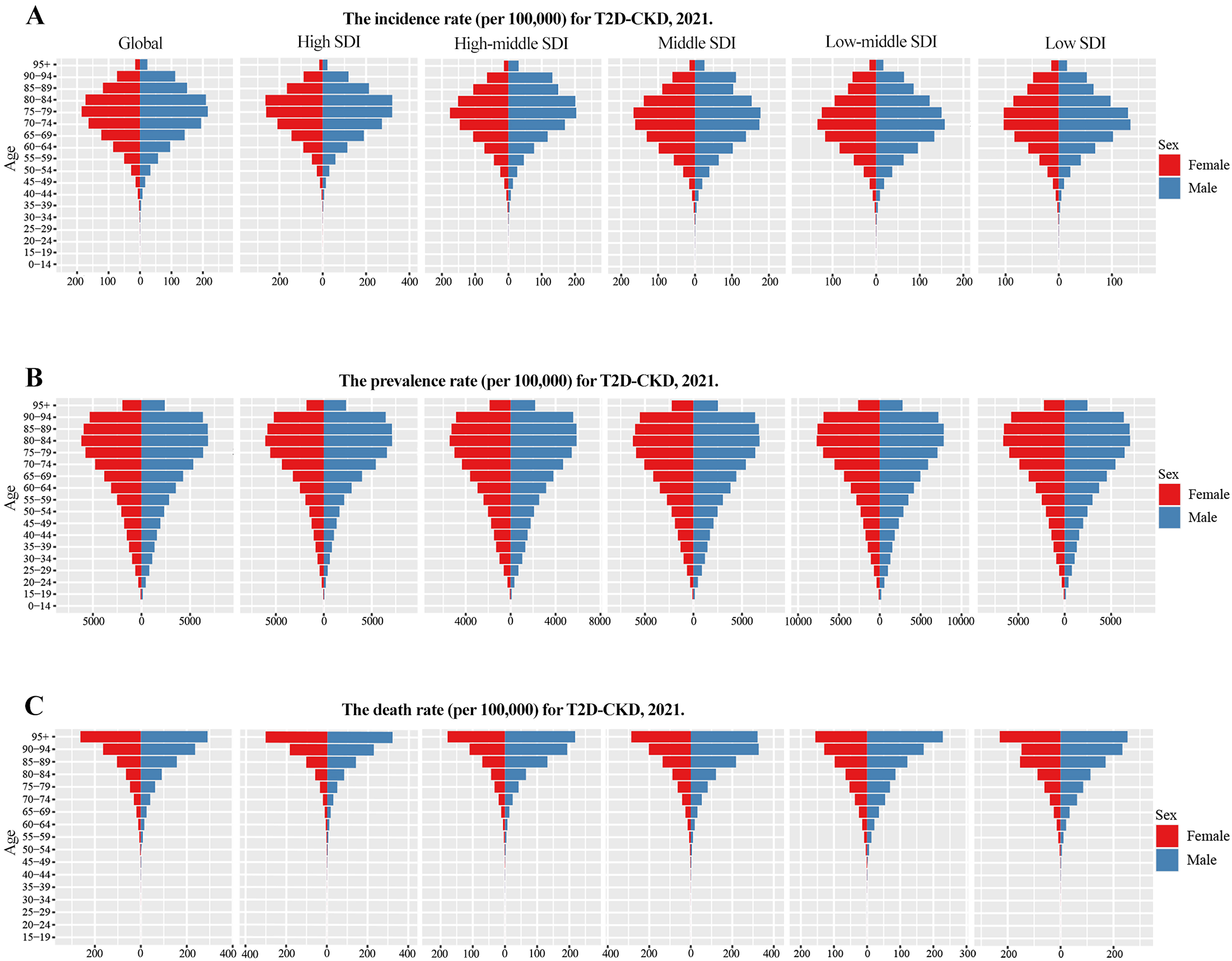 The global burden of diabetes-related chronic kidney disease from 1990 to 2021, with projections to 2036