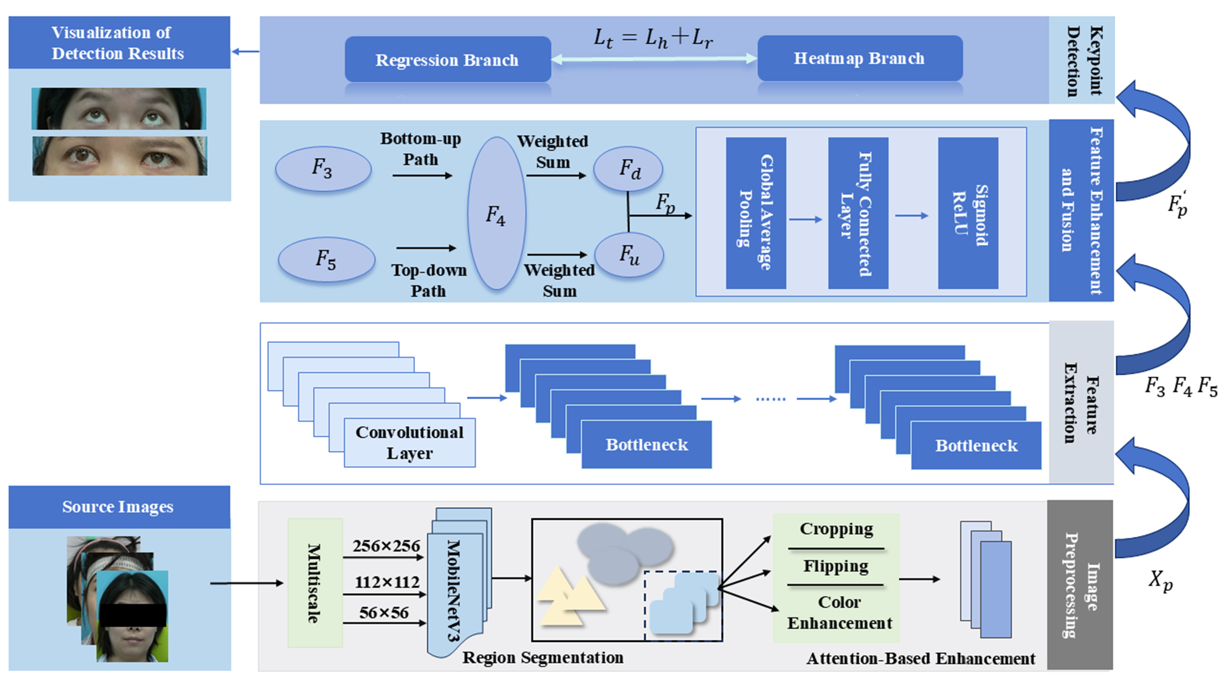 Assistive assessment of neurological dysfunction via eye movement patterns and ocular biometrics