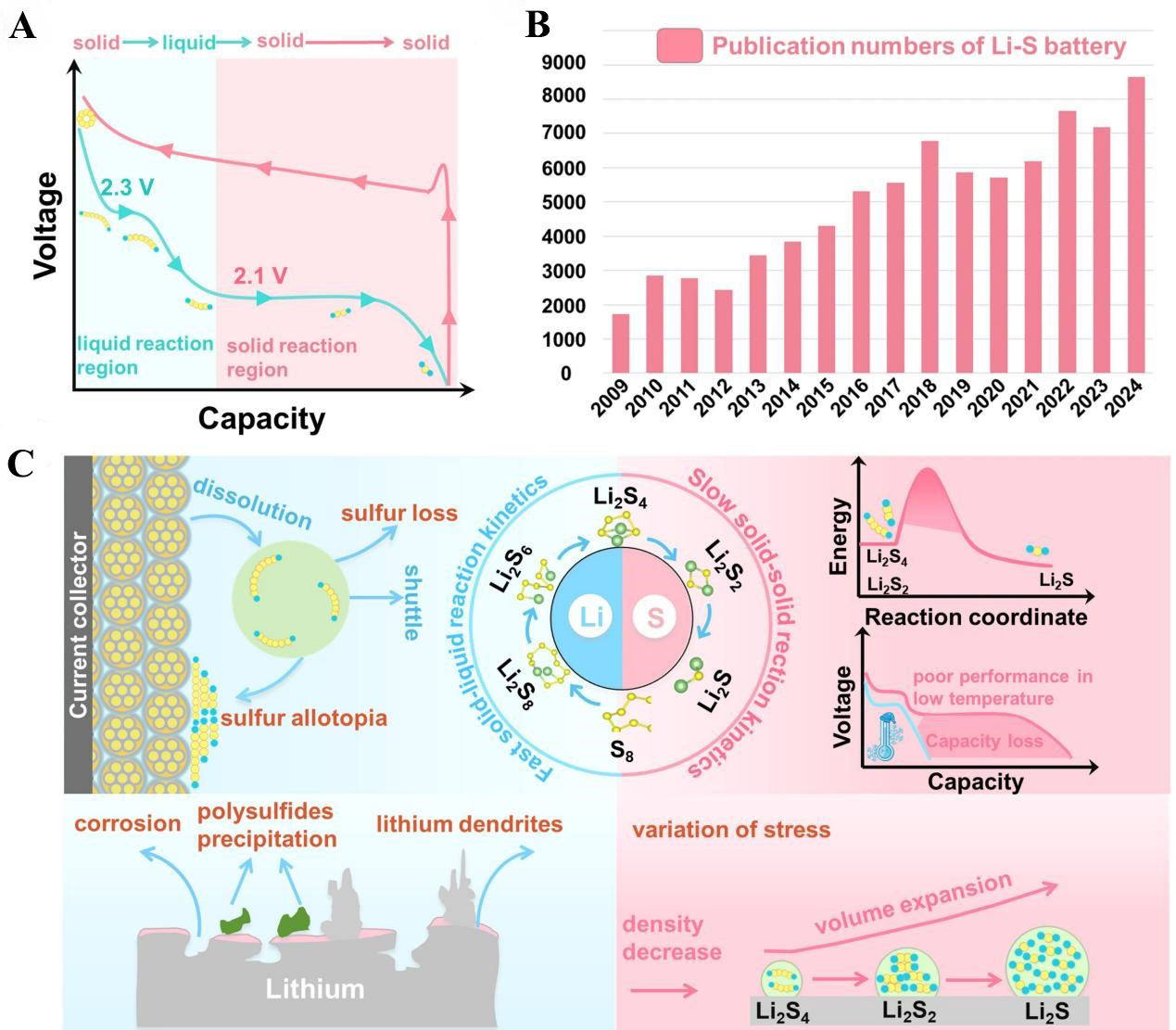 Rare-earth-based strategies for lithium-sulfur batteries: enhancing multi-electron conversion reaction kinetics