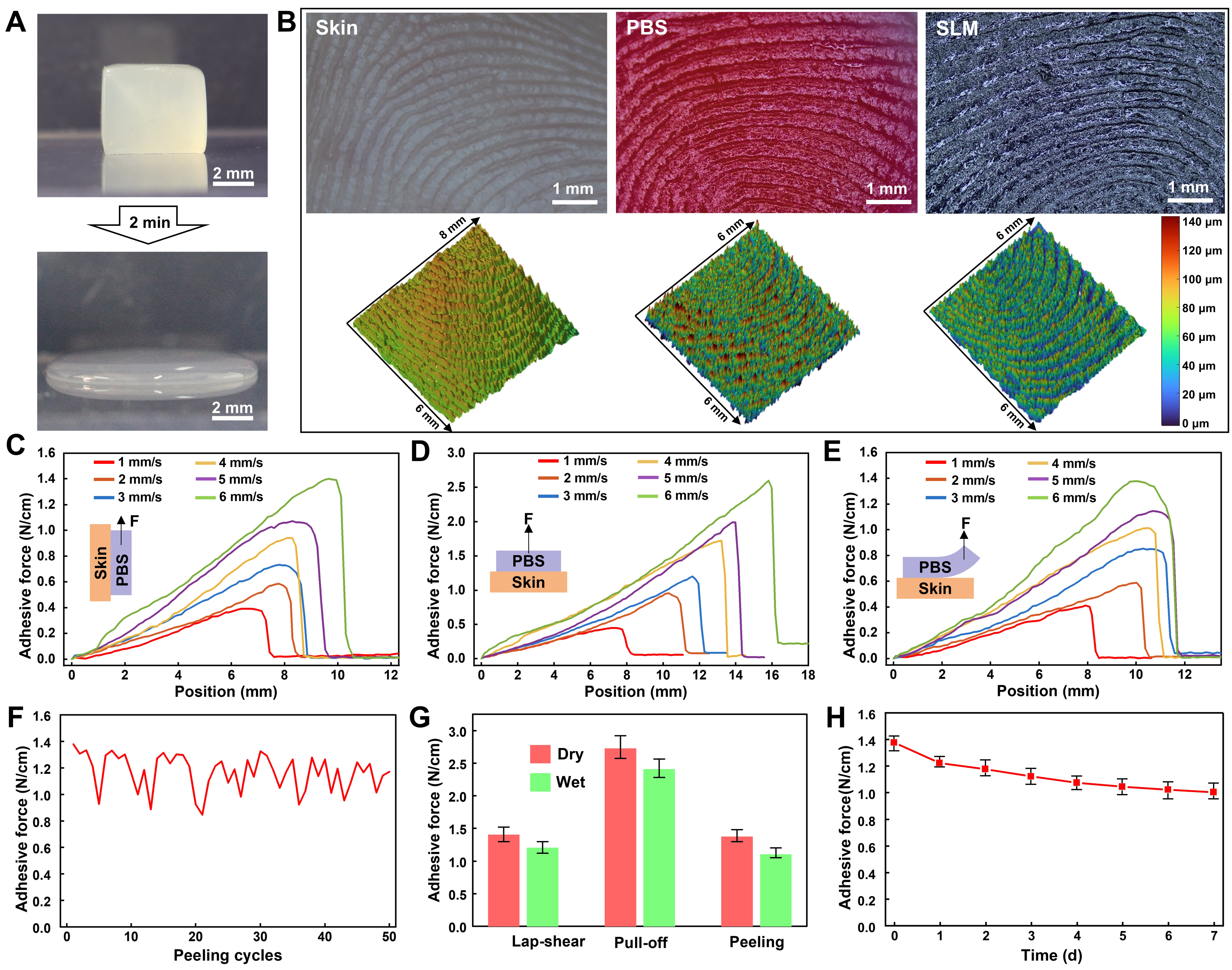 Liquid metal-based dynamic conformal electrodes