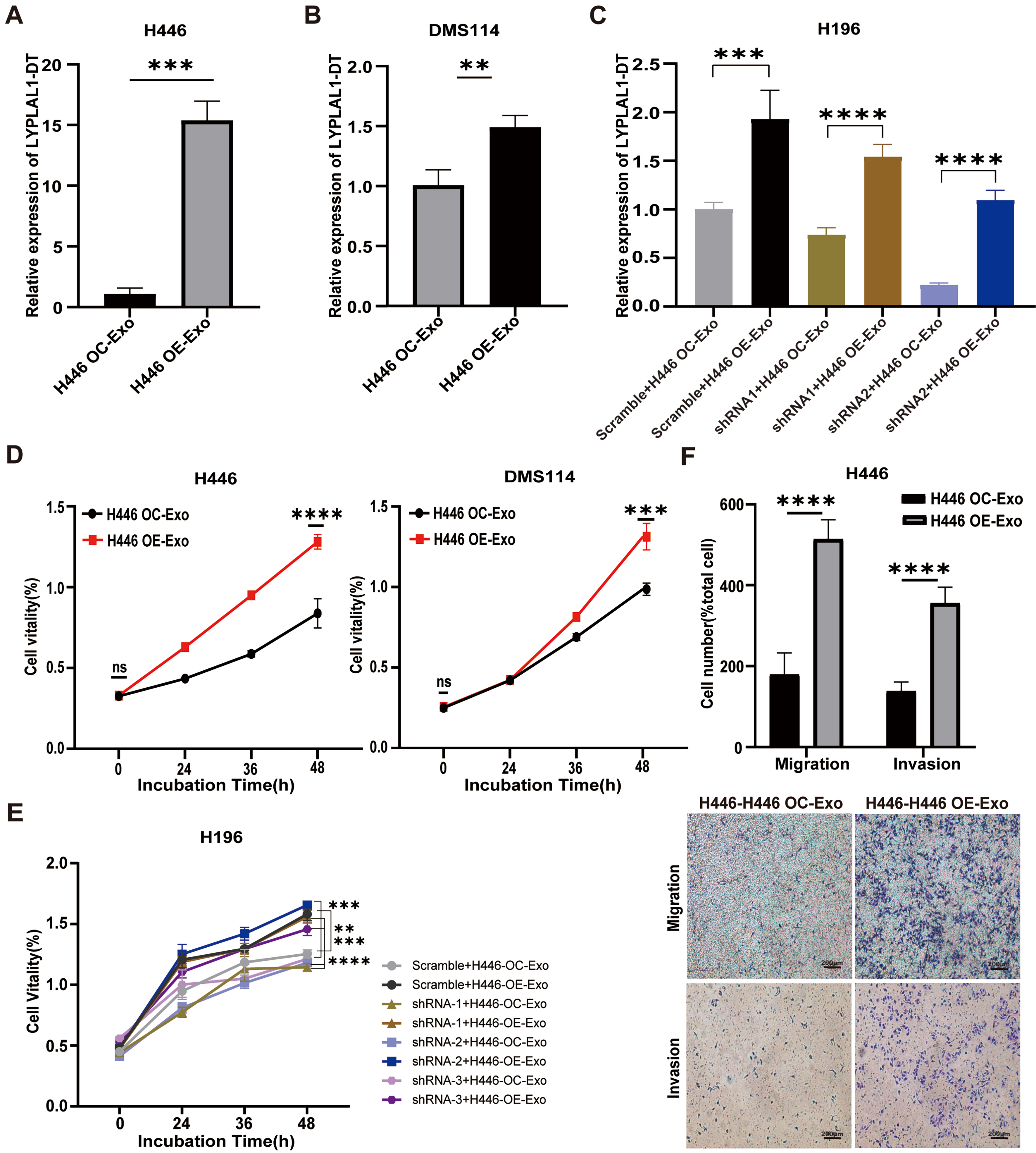 Extracellular vesicle-associated lncRNA LYPLAL1-DT mediates endothelial-cancer cell communication, promoting small cell lung cancer progression