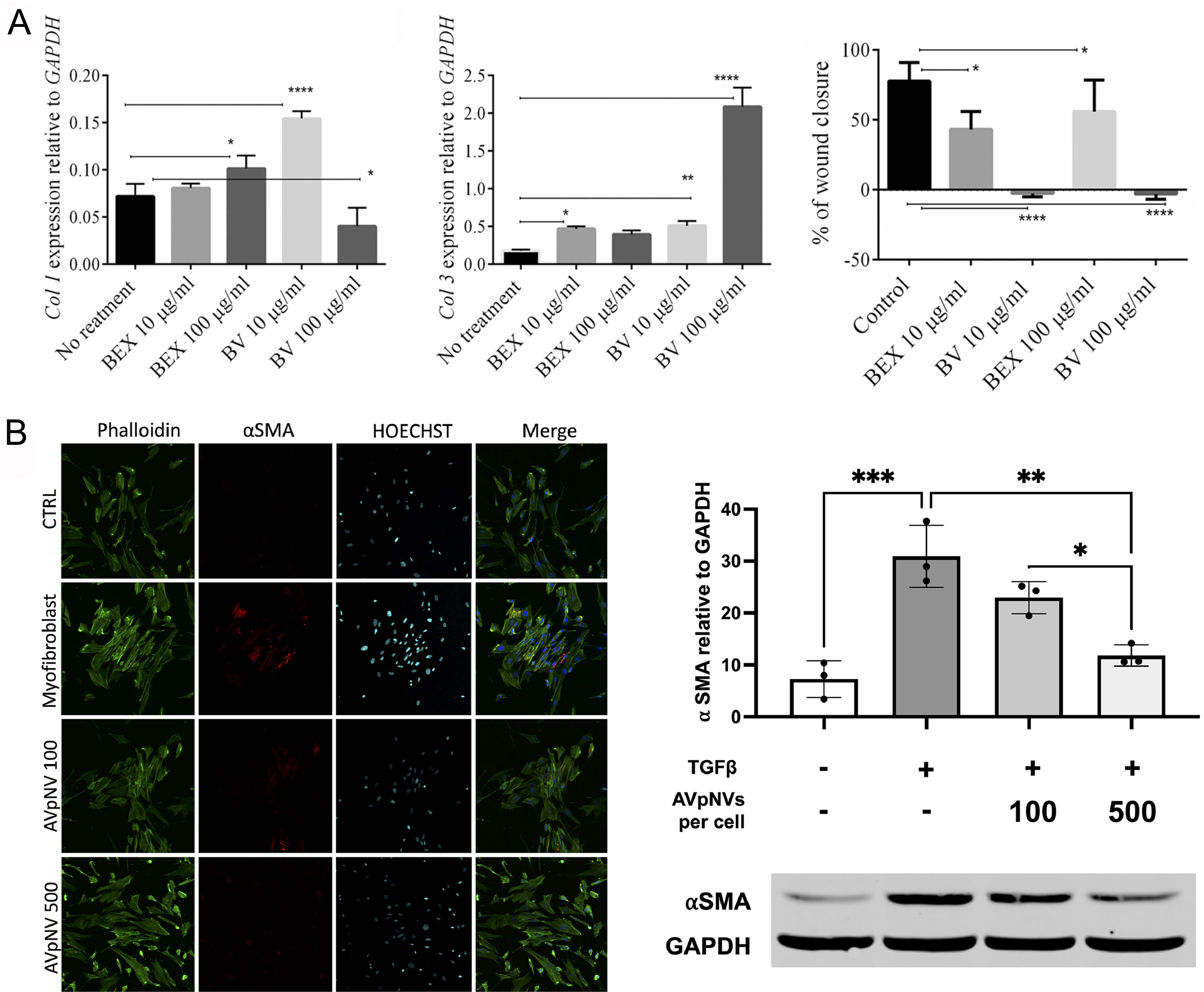 Plant-derived extracellular vesicles in facial aesthetics