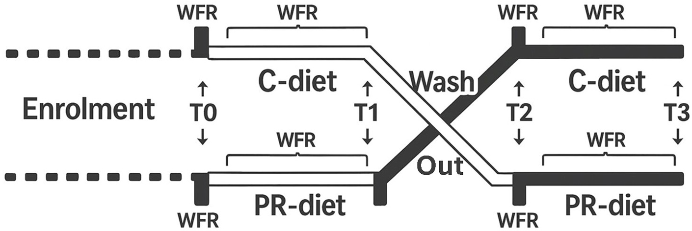 Effect of a polyphenol-rich dietary pattern on subjects aged ≥ 60 years with higher levels of inflammatory markers: insights into microbiome and metabolome