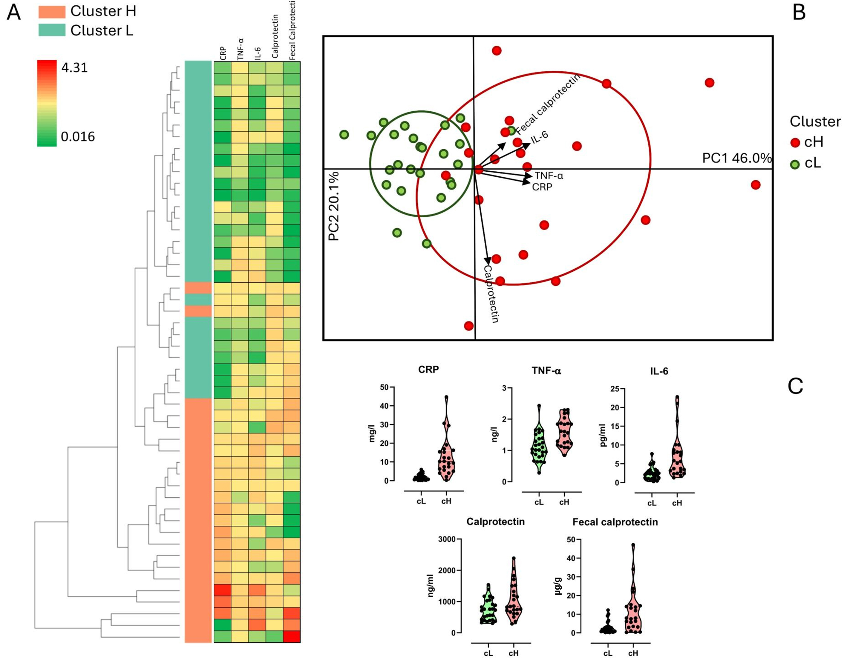 Effect of a polyphenol-rich dietary pattern on subjects aged ≥ 60 years with higher levels of inflammatory markers: insights into microbiome and metabolome