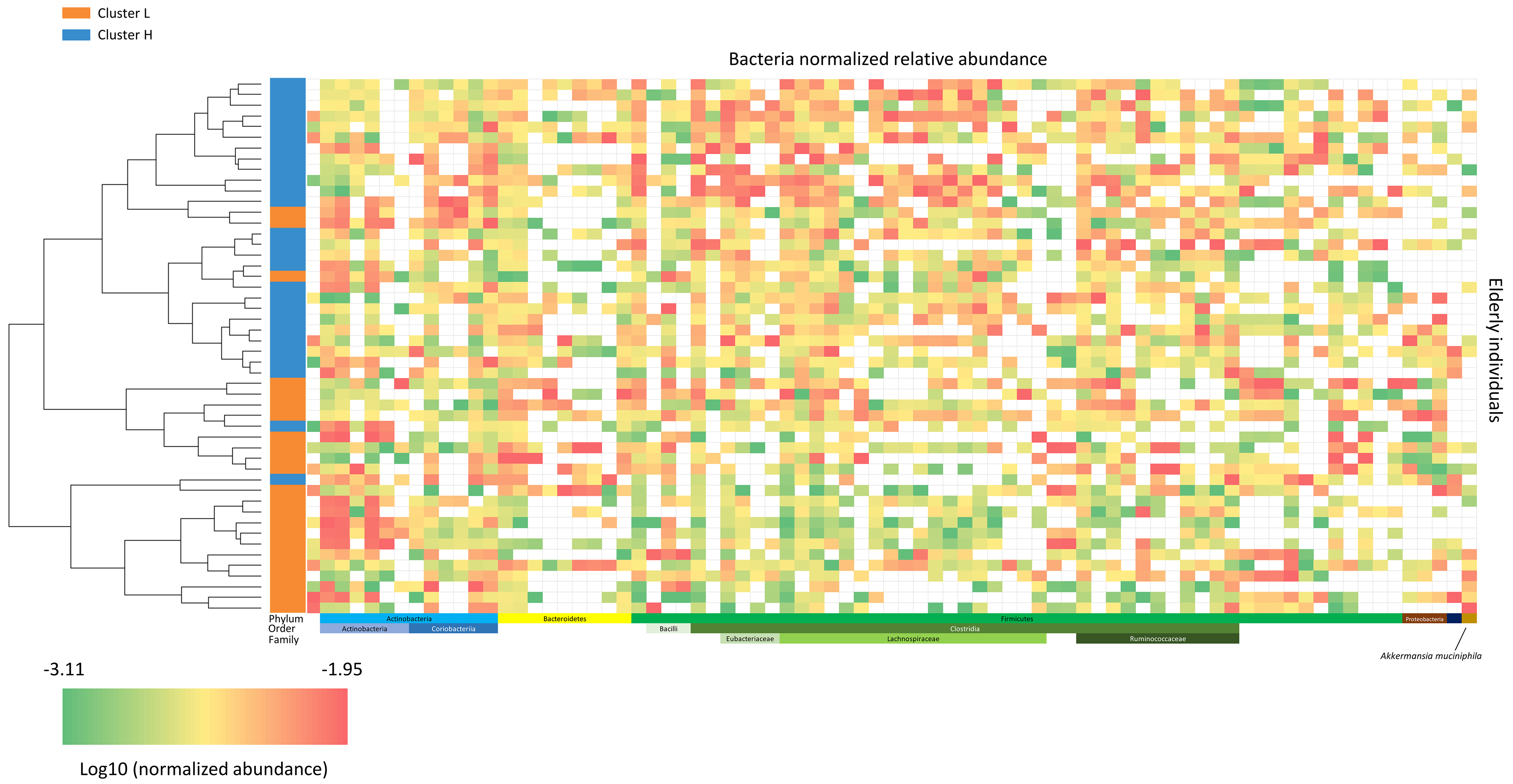 Effect of a polyphenol-rich dietary pattern on subjects aged ≥ 60 years with higher levels of inflammatory markers: insights into microbiome and metabolome