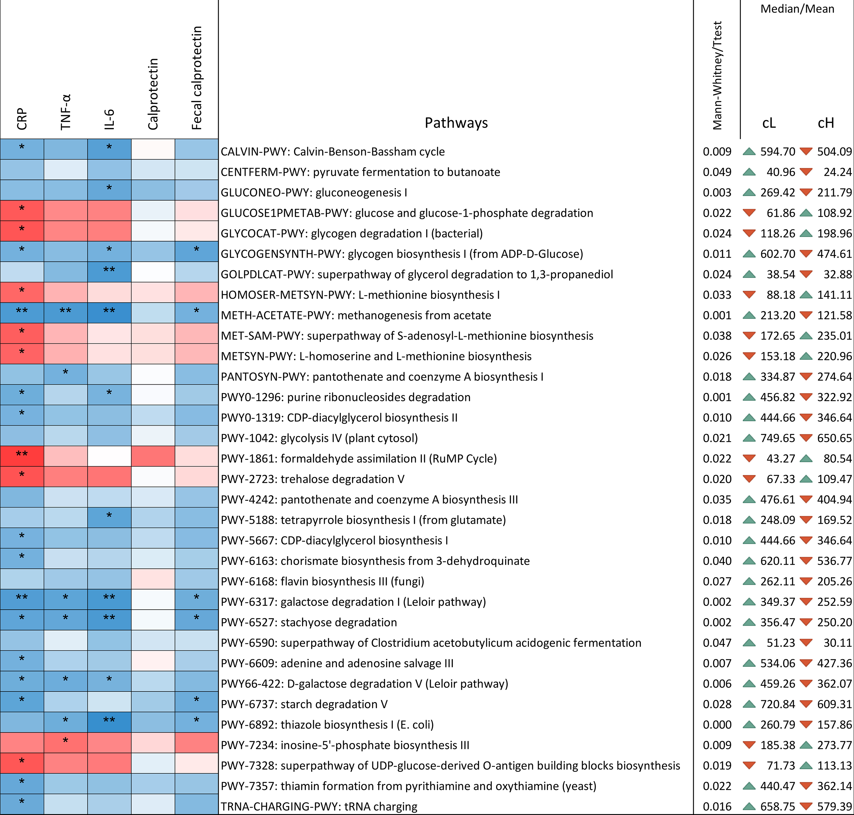 Effect of a polyphenol-rich dietary pattern on subjects aged ≥ 60 years with higher levels of inflammatory markers: insights into microbiome and metabolome