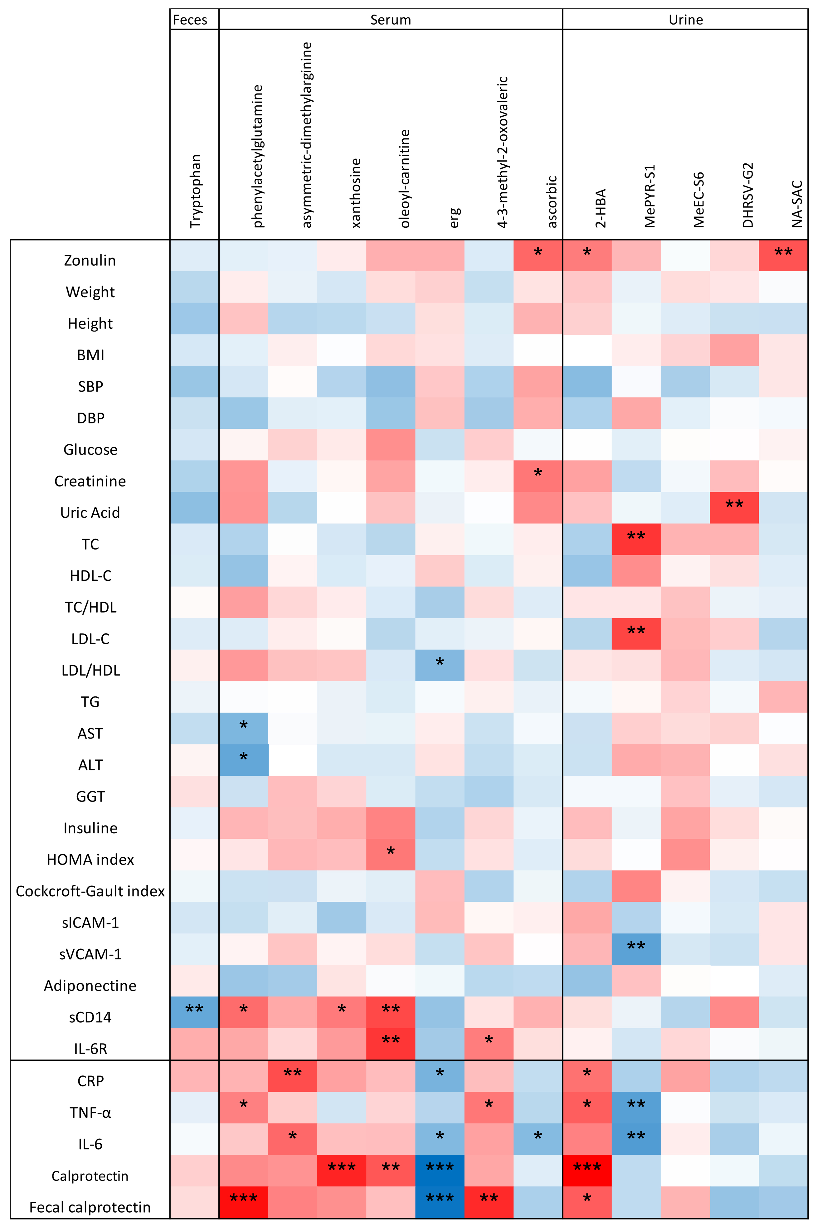 Effect of a polyphenol-rich dietary pattern on subjects aged ≥ 60 years with higher levels of inflammatory markers: insights into microbiome and metabolome