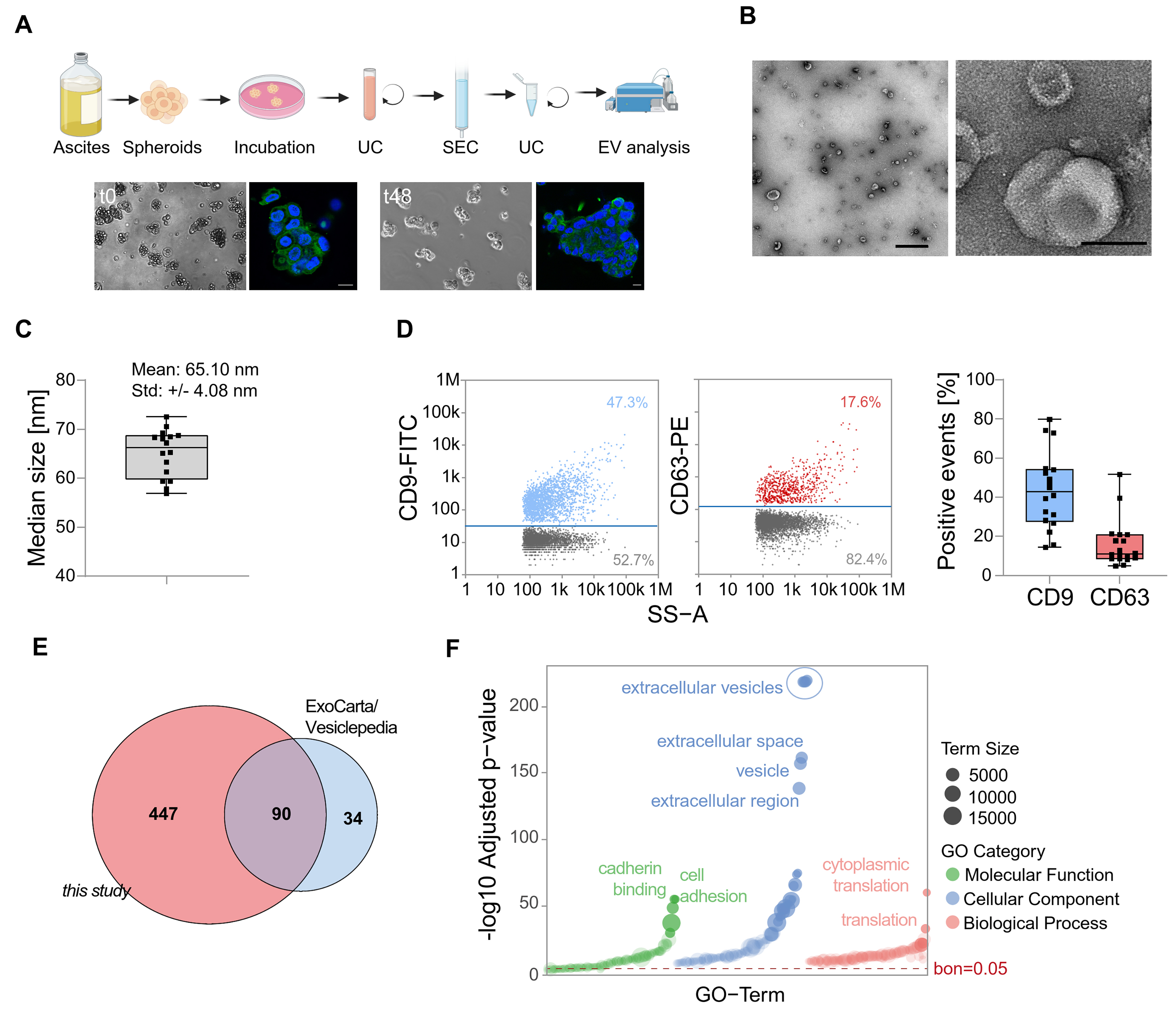 Extracellular vesicles from ovarian cancer tumor spheroids harbor disease-related and survival-associated proteins