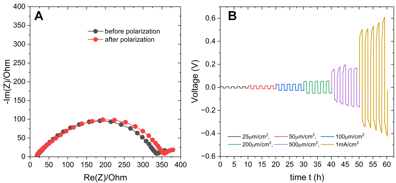  <i>In-situ</i> polymerized and crosslinked electrolytes with interchangeable Li/Na transport for battery applications