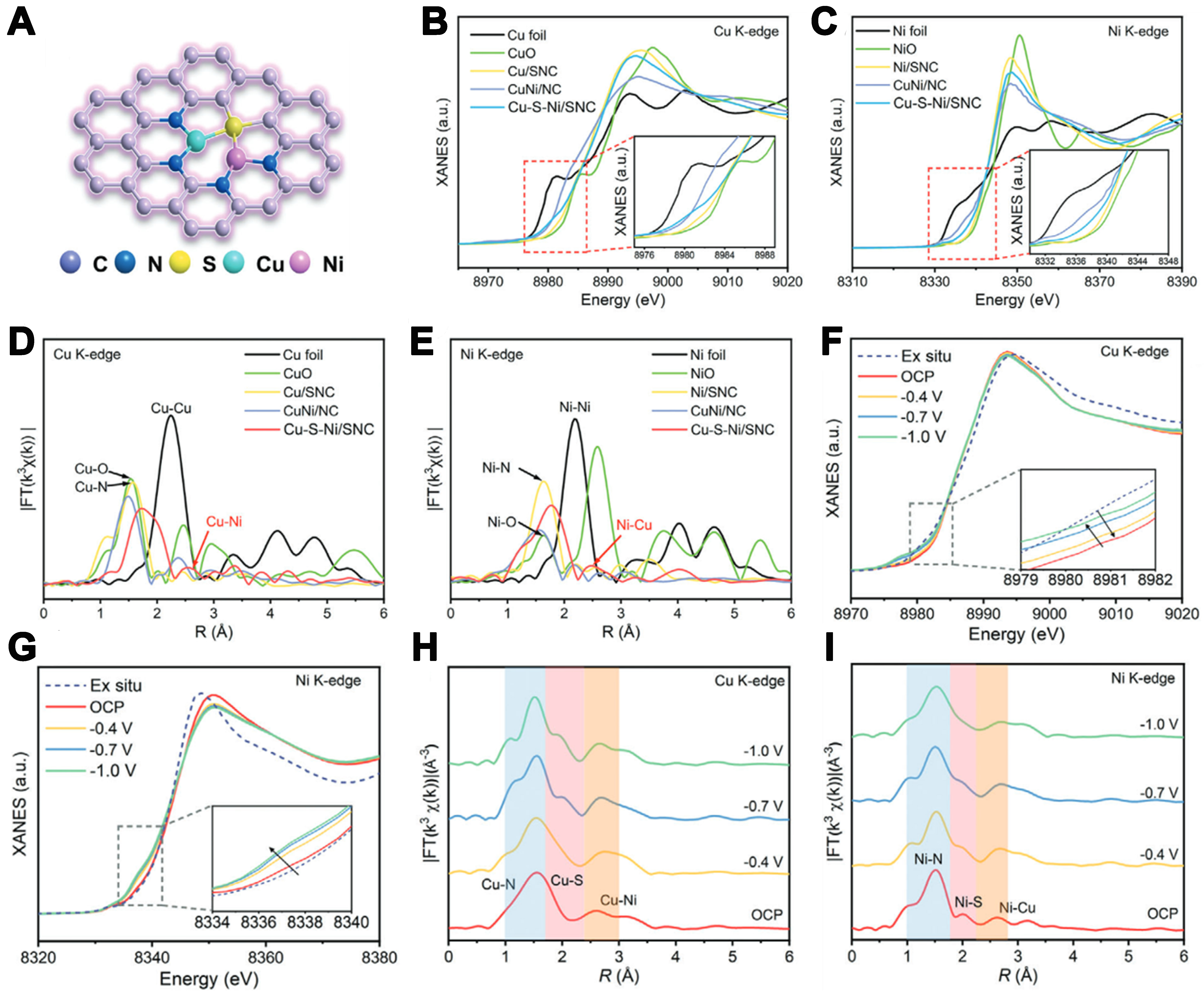 Asymmetrically coordinated single-atom catalysts: from synthetic strategy to structure-activity relationship