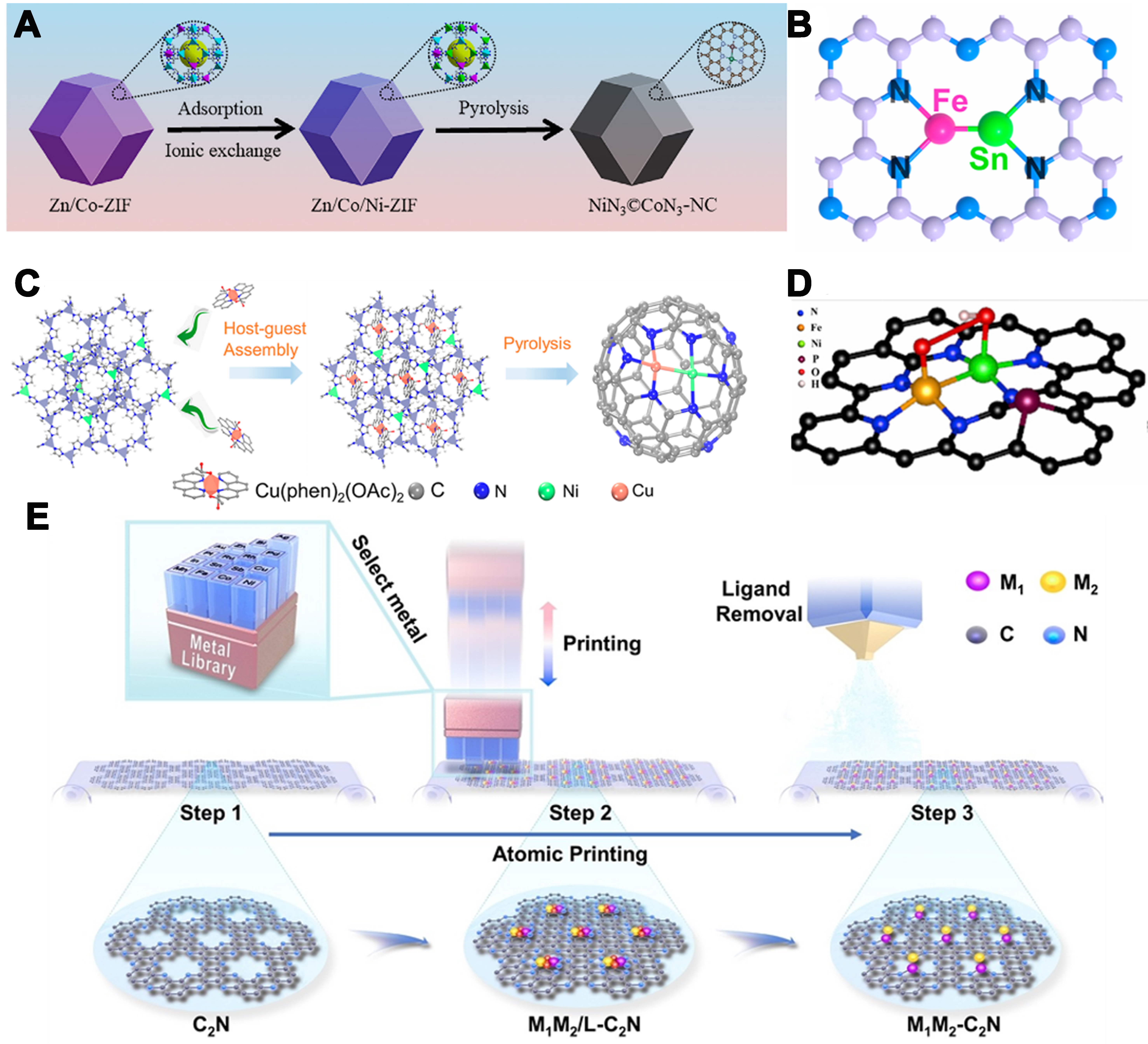 Asymmetrically coordinated single-atom catalysts: from synthetic strategy to structure-activity relationship